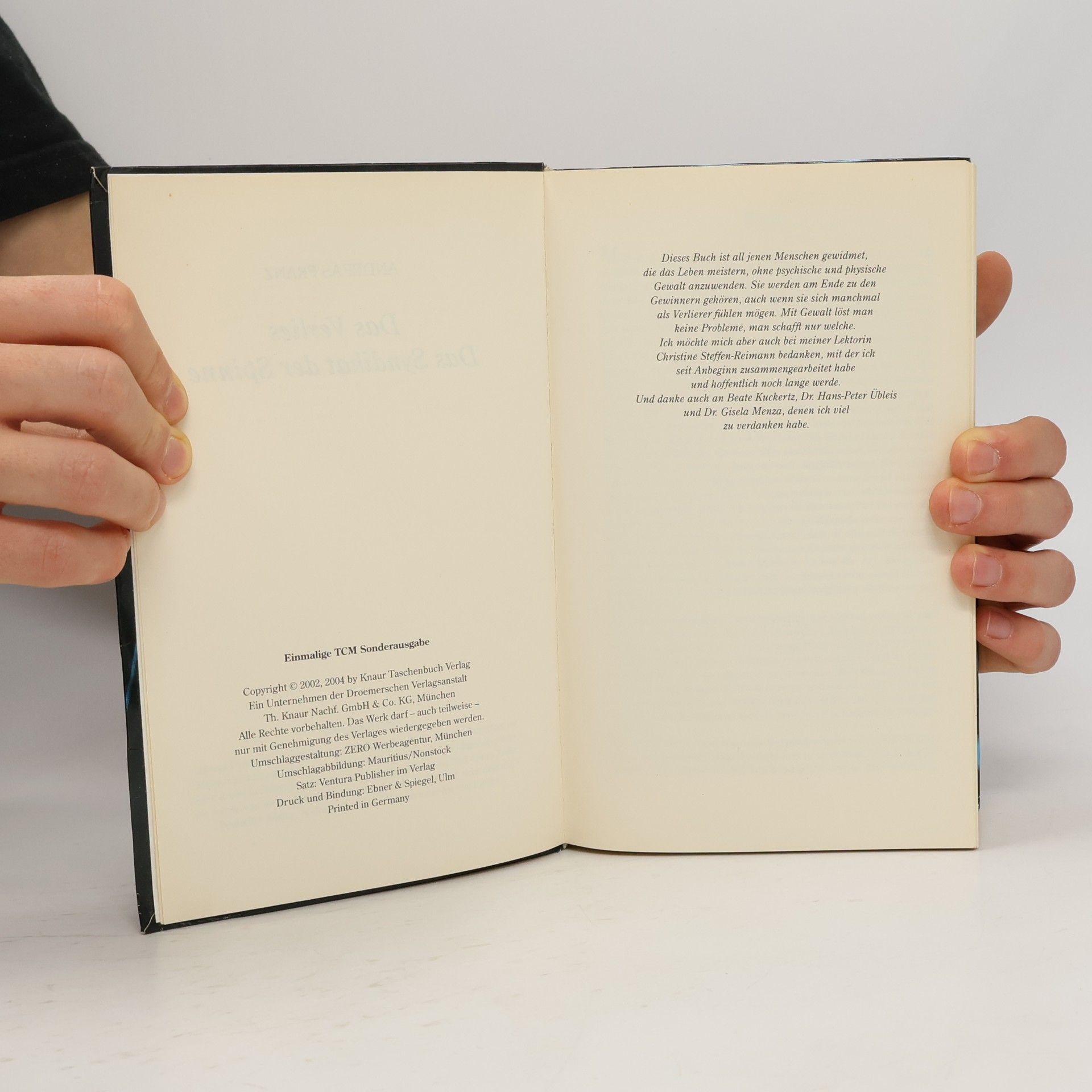 Andreas Franz Das Verlies. Das Syndikat der Spinne