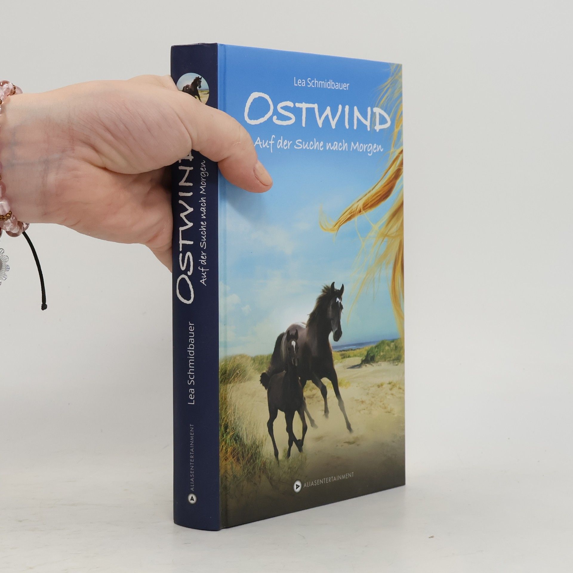 Ostwind - auf der Suche nach Morgen