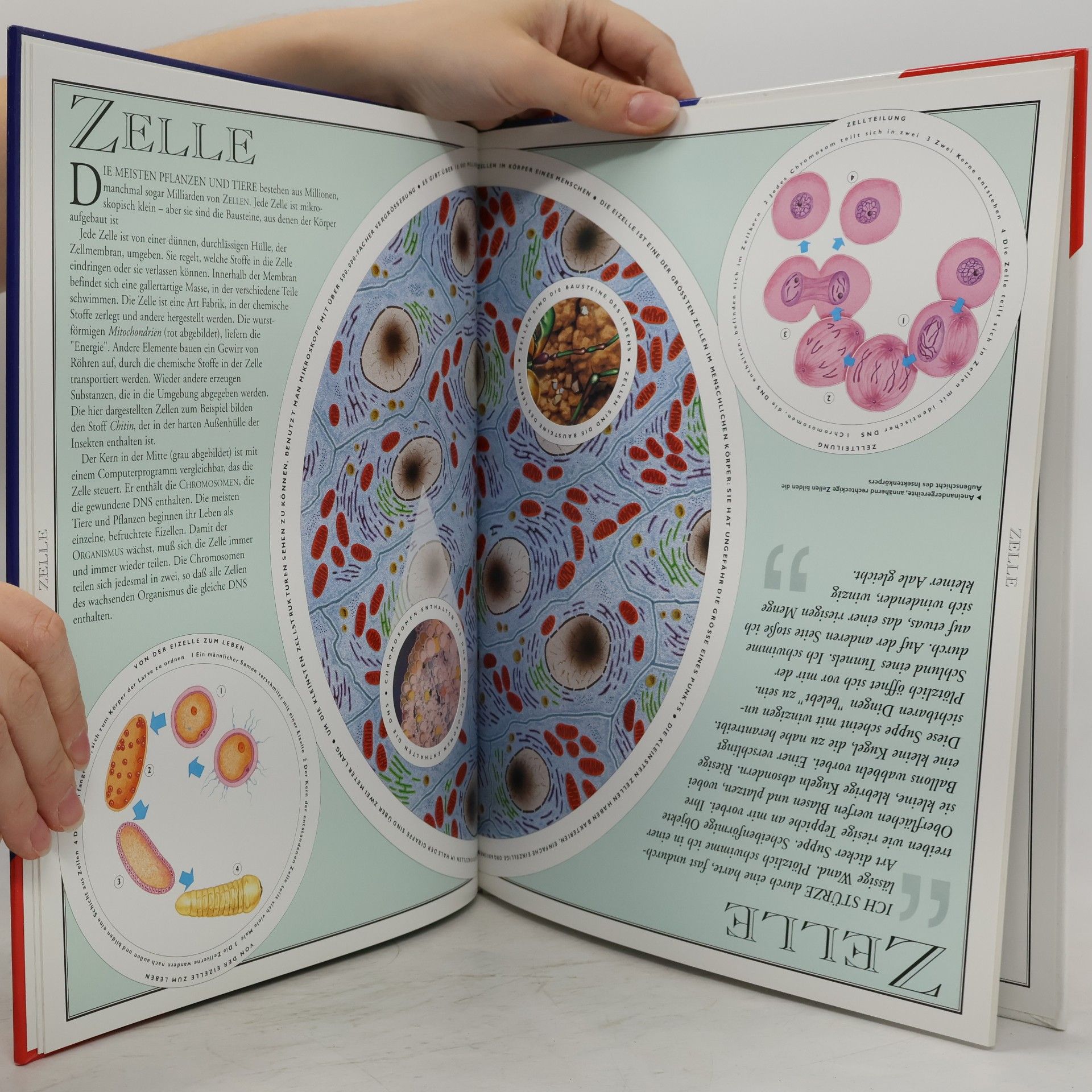 Autorenkollektiv Die unglaubliche Reise an den Rand des Universums