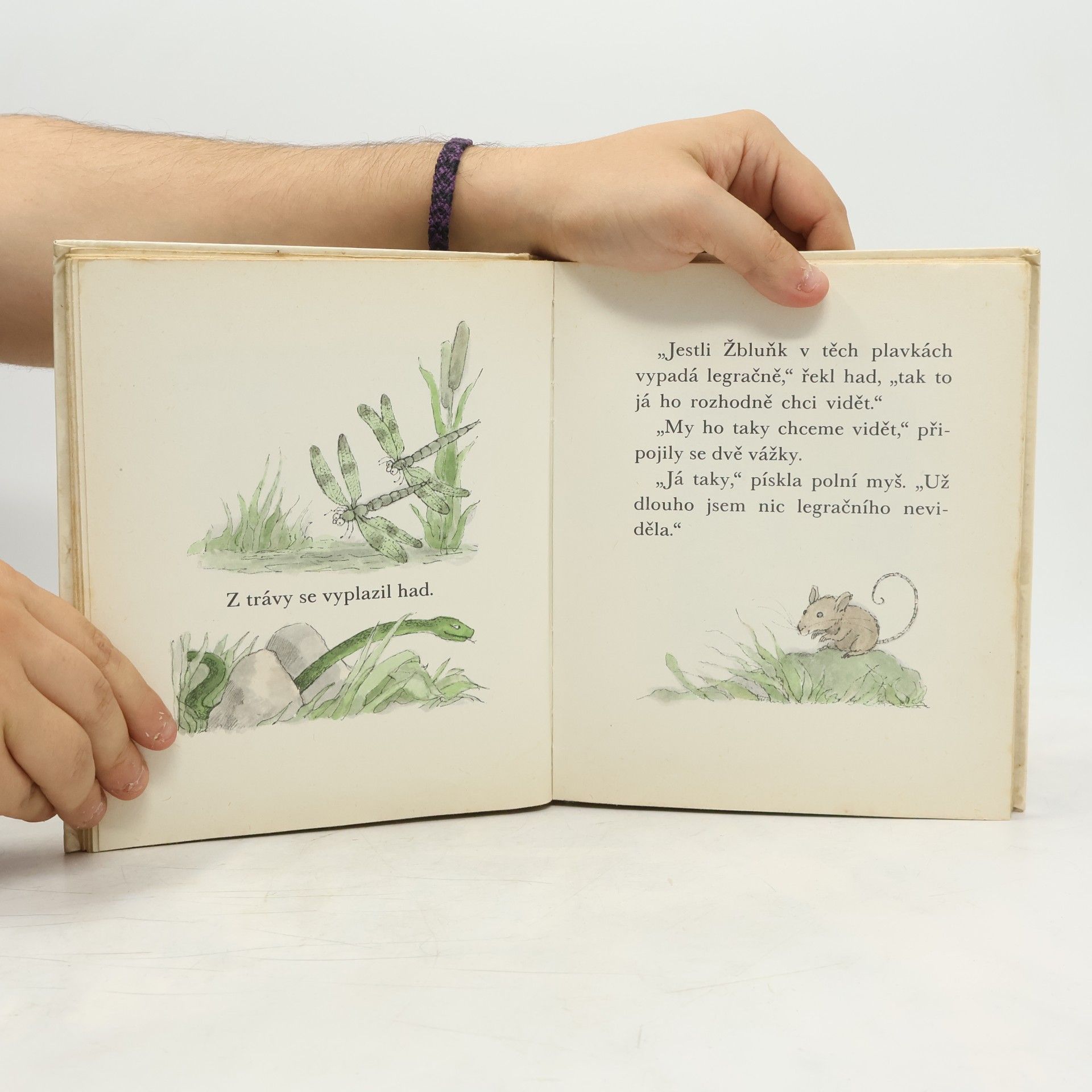 Arnold Lobel Kvak a Žbluňk jsou kamarádi