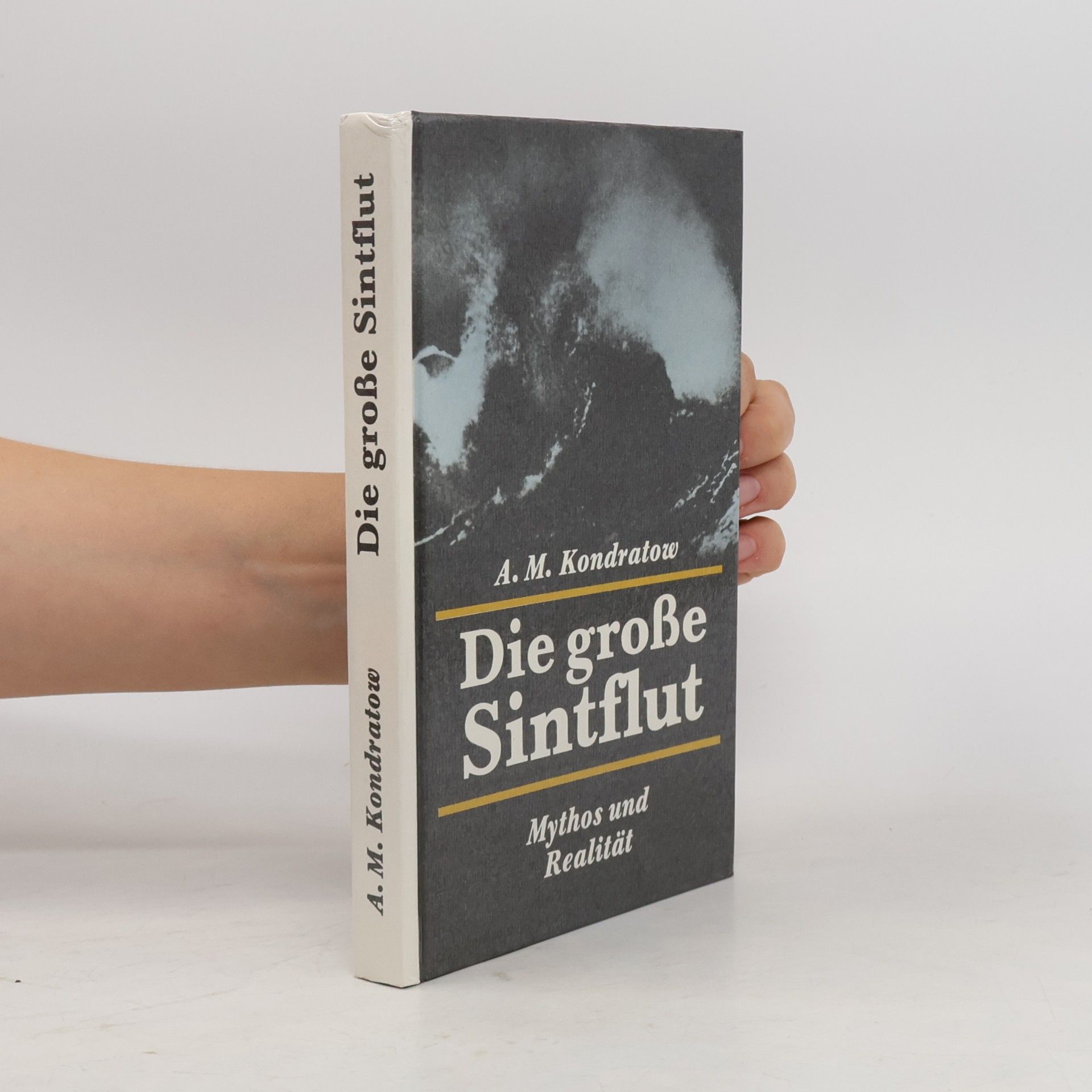 Die grosse Sintflut