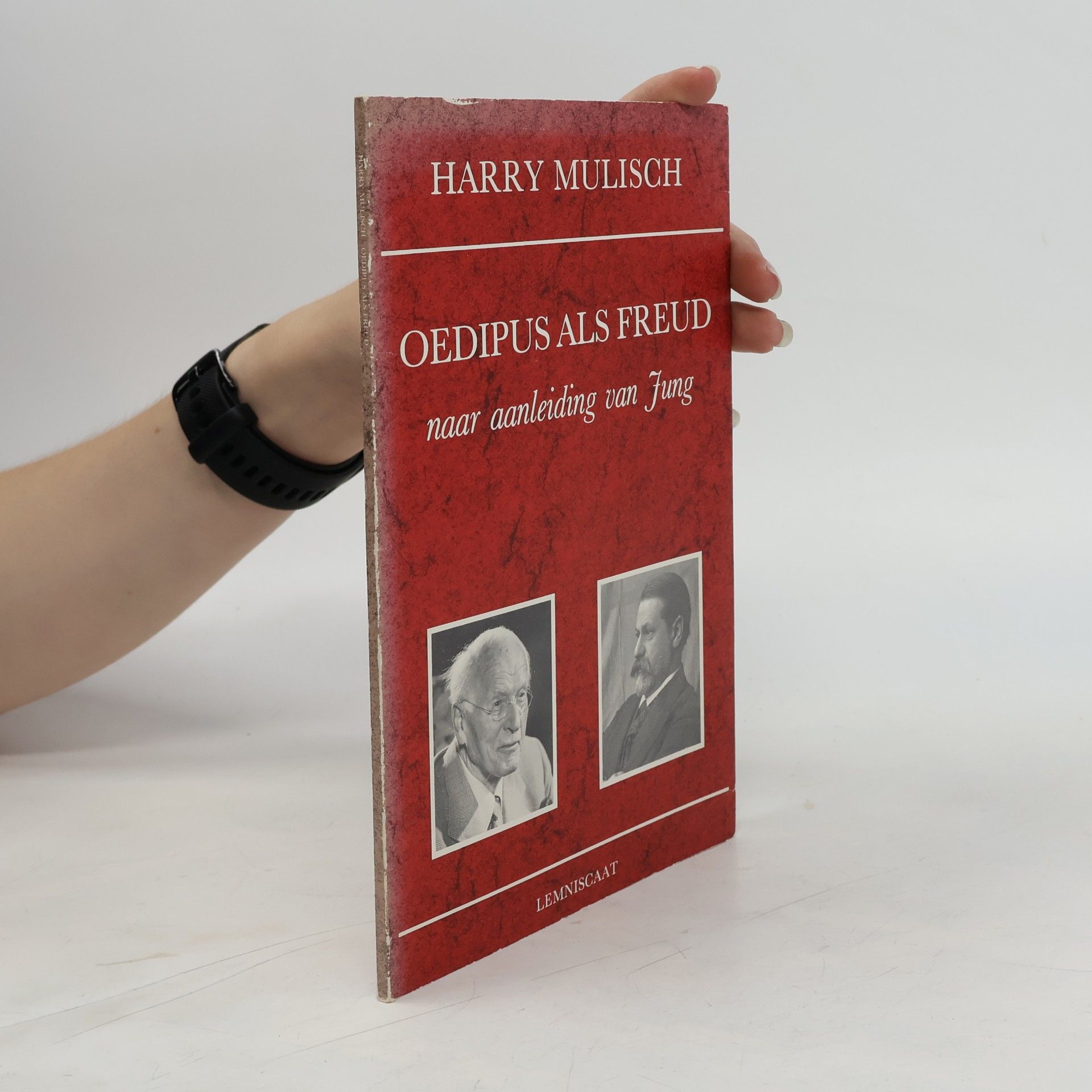 Harry Mulisch Oedipus als Freud
