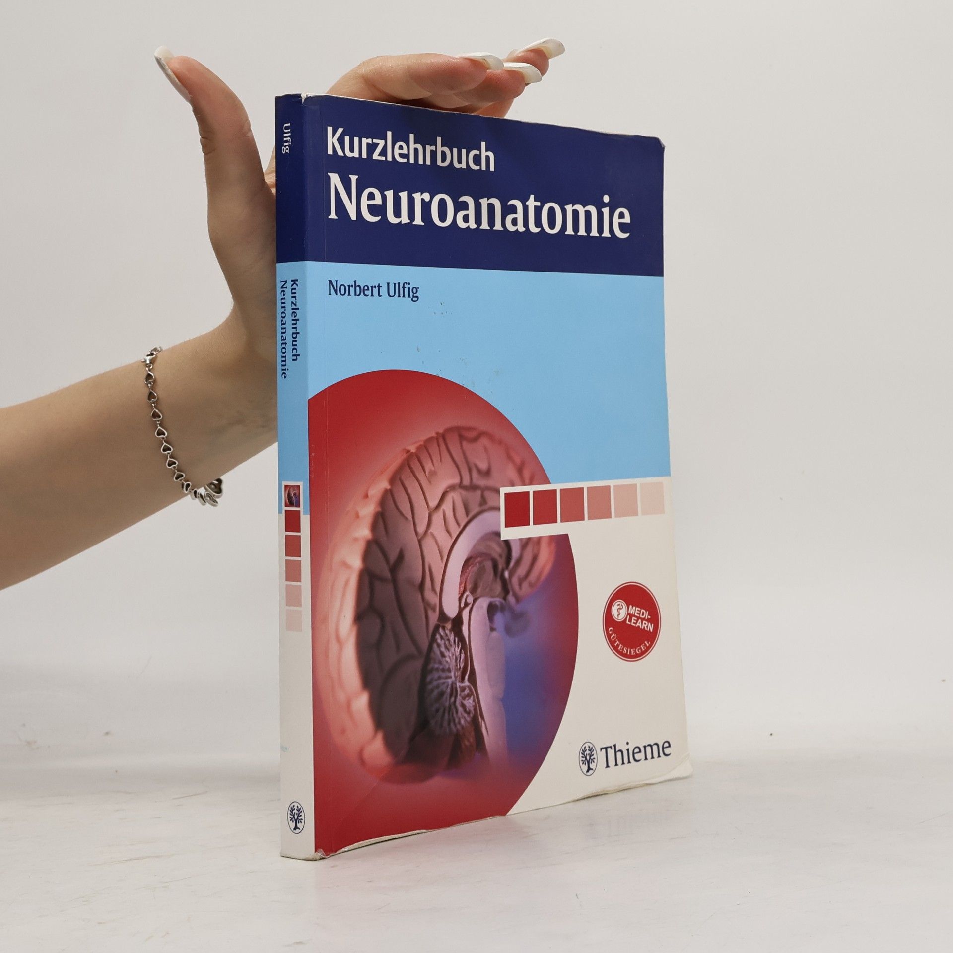 Kurzlehrbuch Neuroanatomie