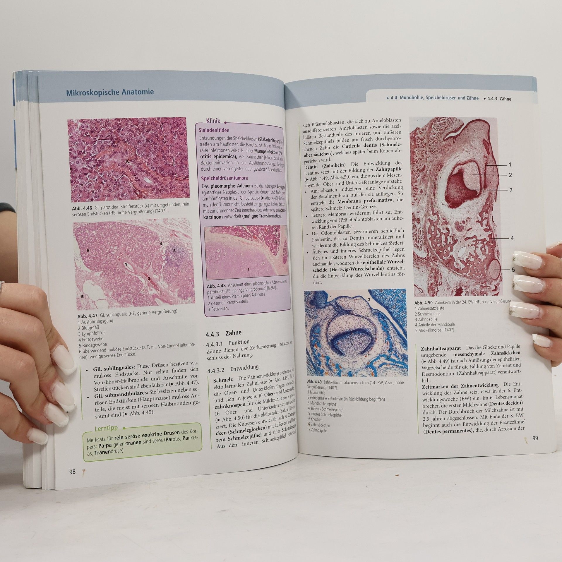 Henrik Holtmann Mediscript-Kurzlehrbuch Histologie
