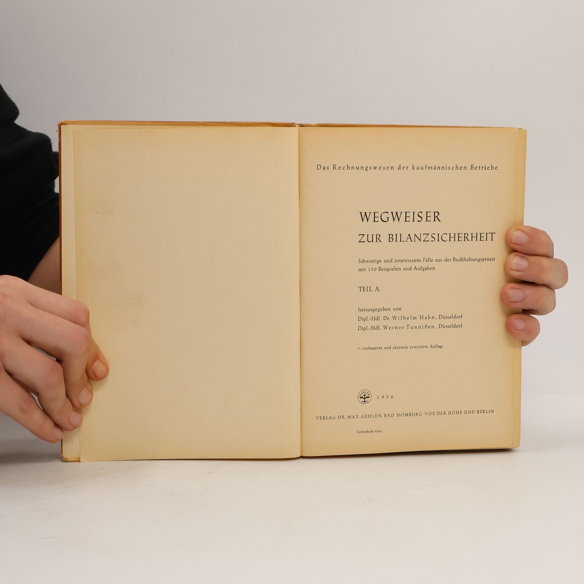 Wilhelm Hahn Wegweiser zur Bilanzsicherheit A