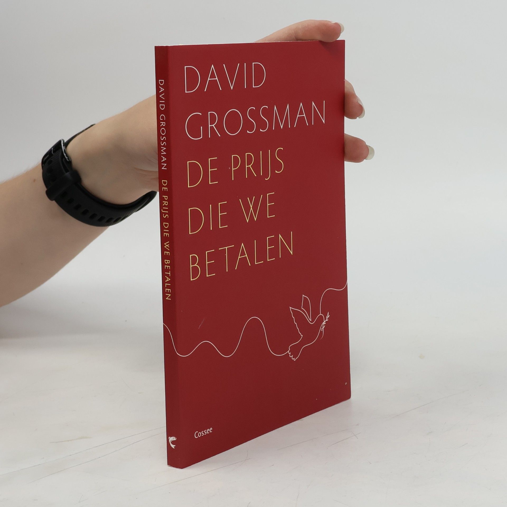 David Grossman De prijs die we betalen