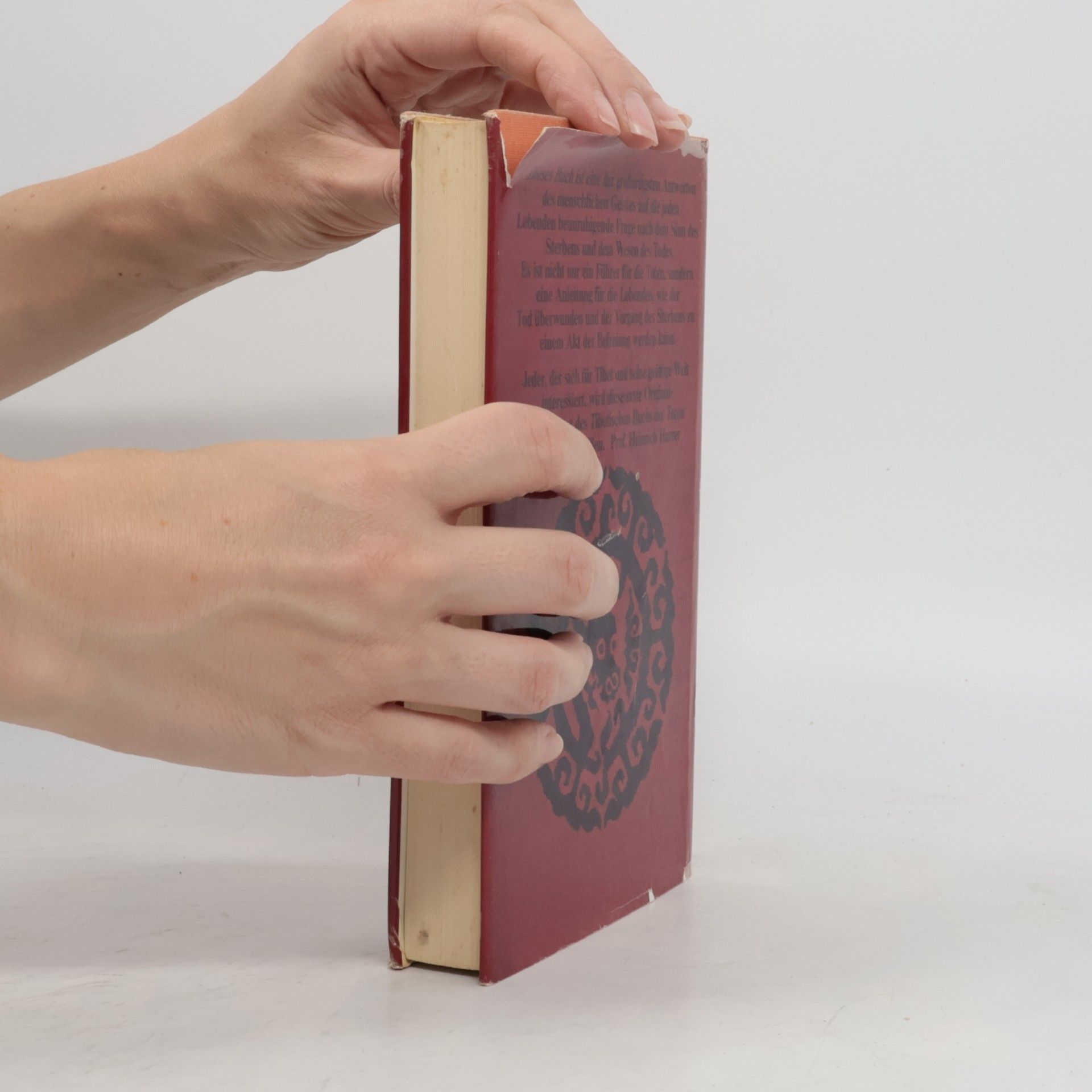 kolektiv Das Tibetische Buch der Toten