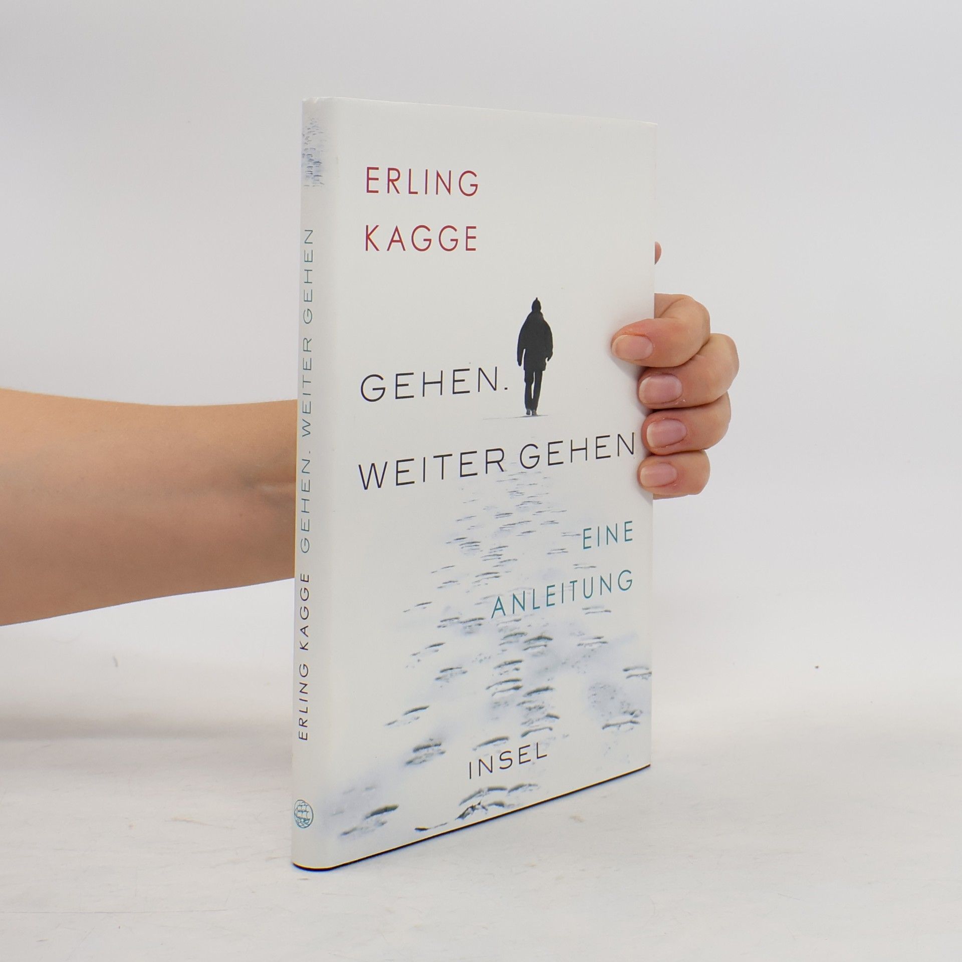 Erling Kagge Gehen - weiter gehen