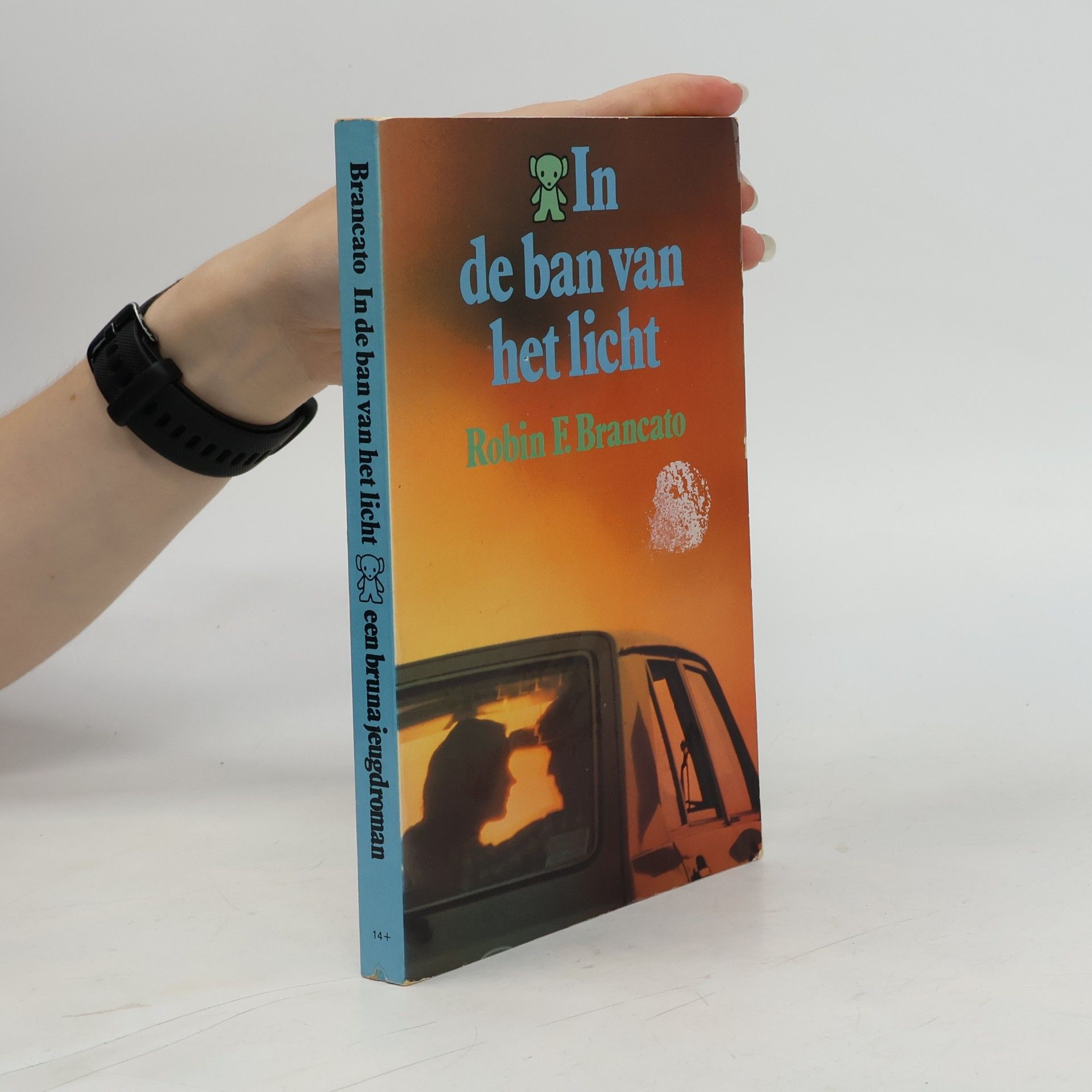 Pon Ruiter In de ban van het licht
