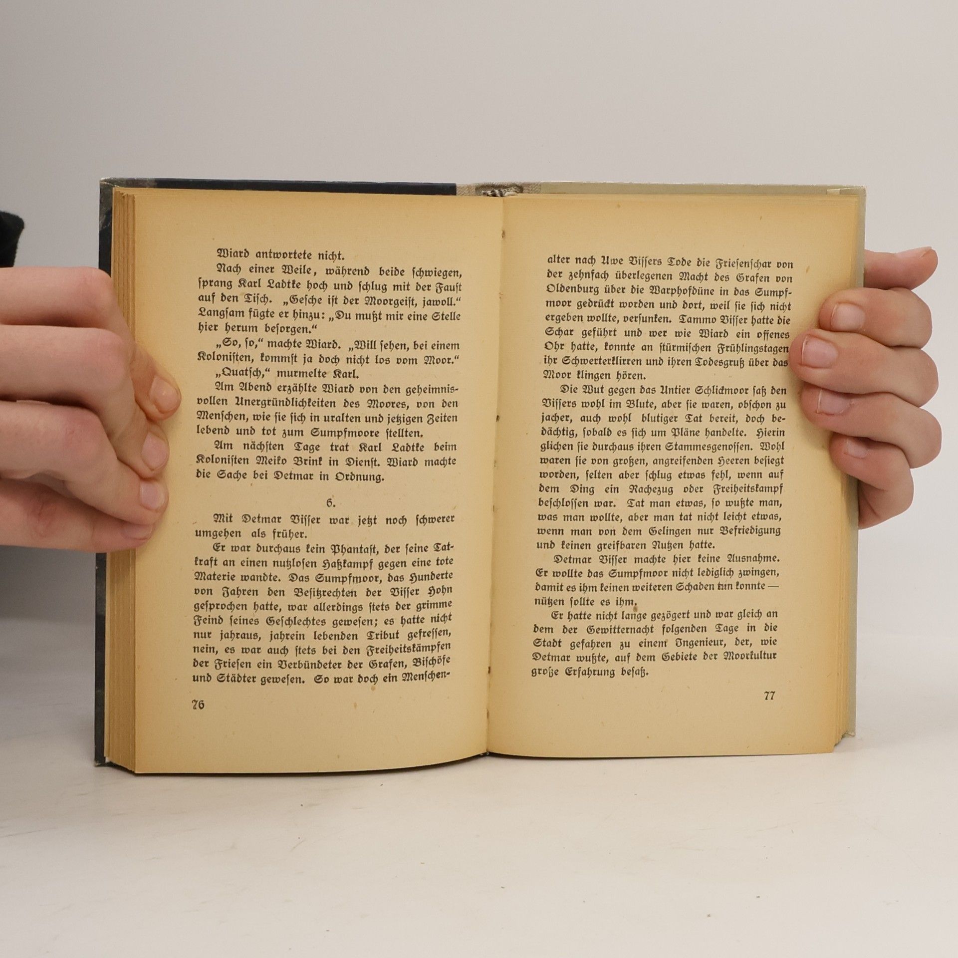 Alfred Manns Der Warphof und das Sumpfmoor