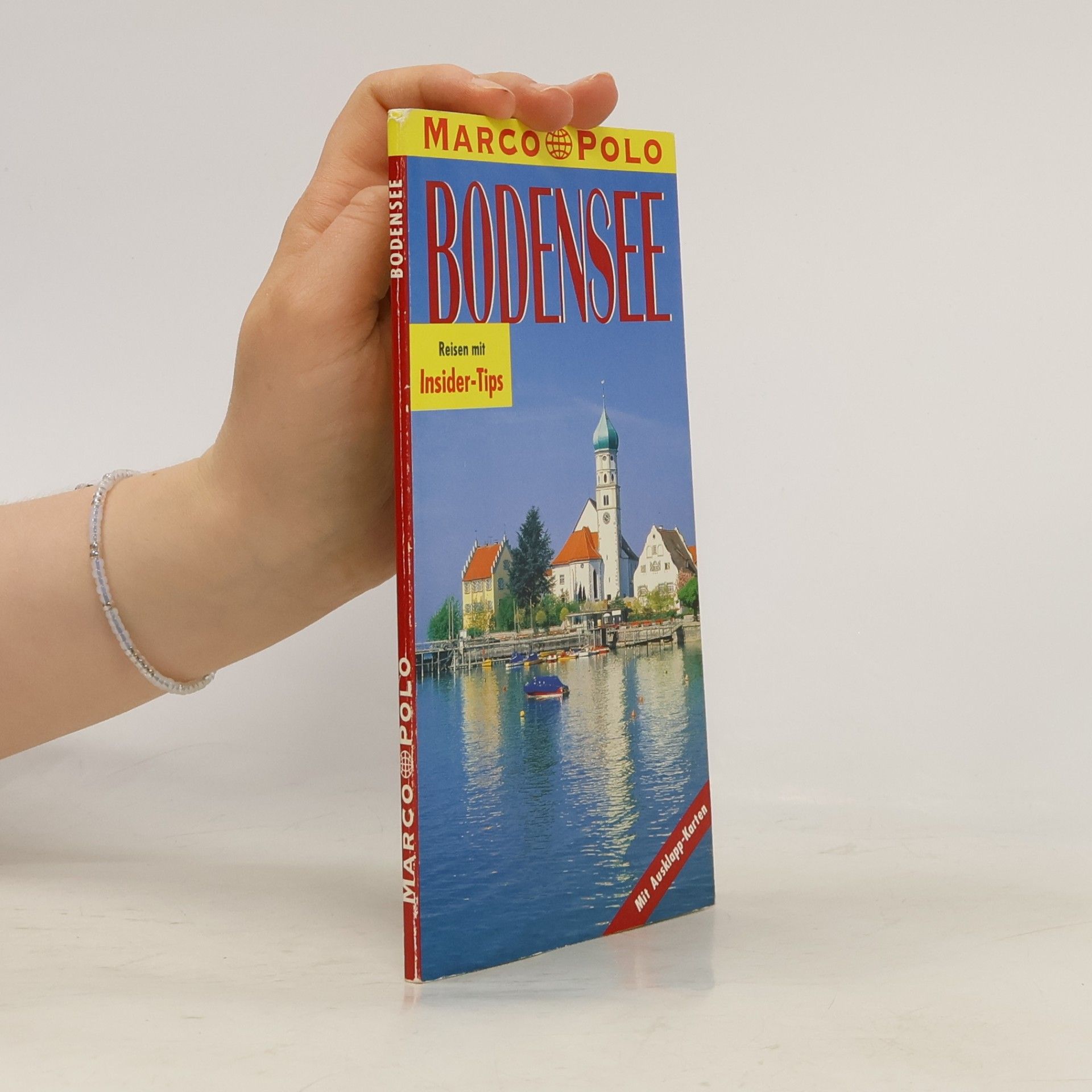 Kolektiv autorů Bodensee
