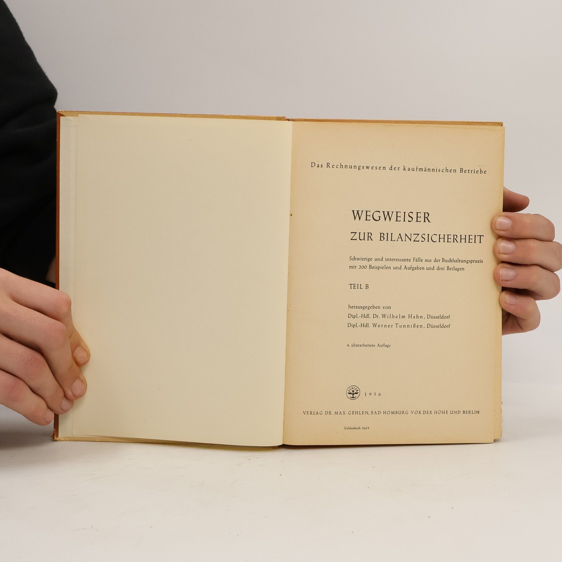 Autorenkollektiv Wegweiser zur Bilanzsicherheit B