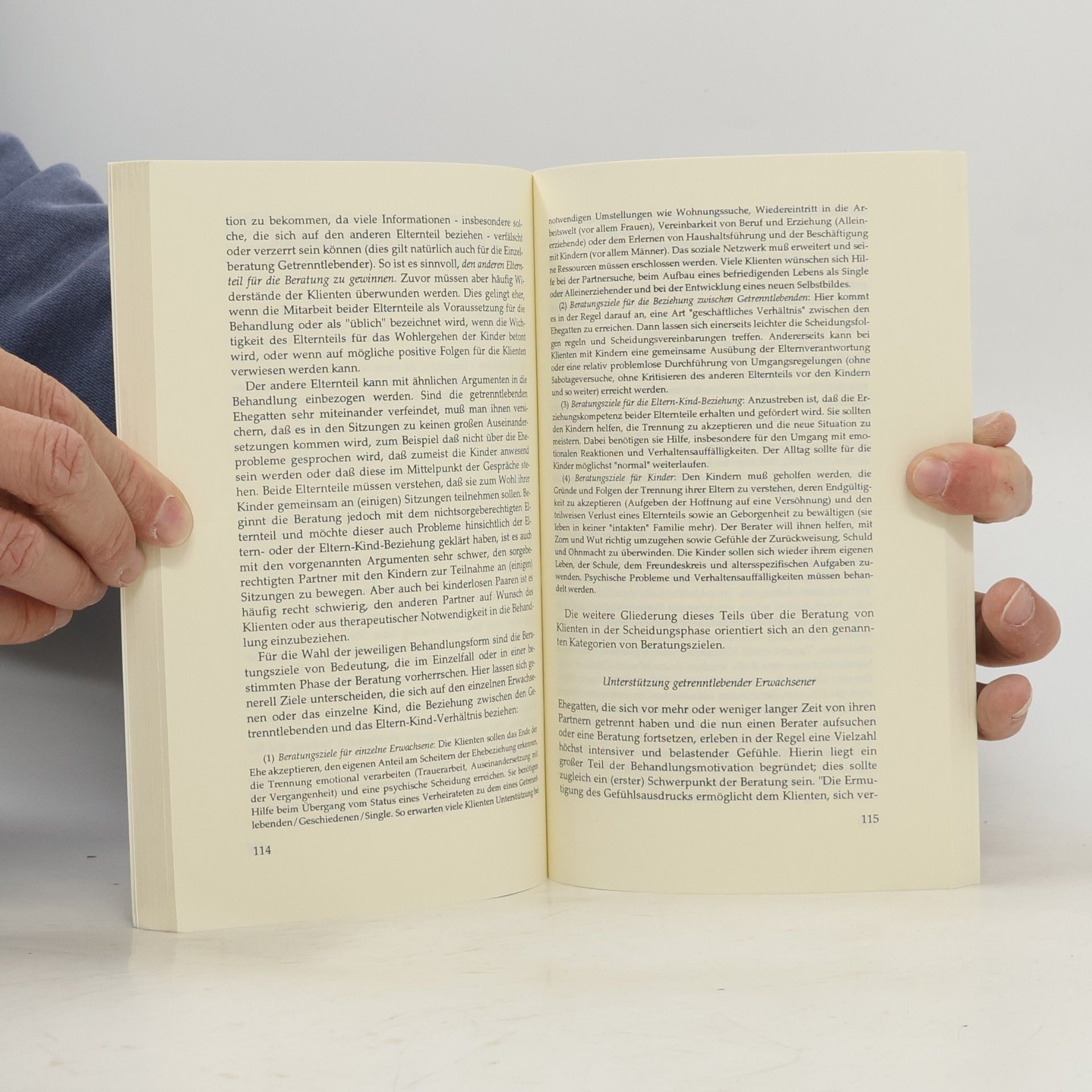 Martin Textor Scheidungszyklus und Scheidungsberatung