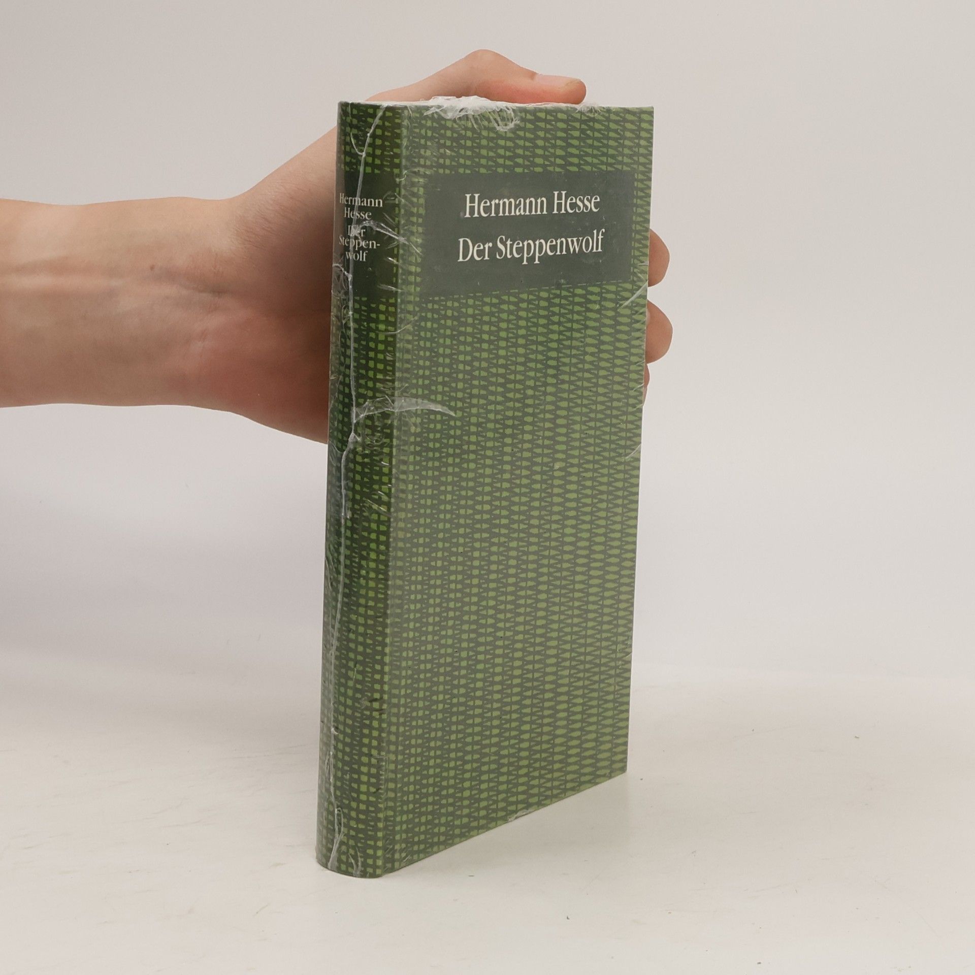 Hermann Hesse Der Steppenwolf