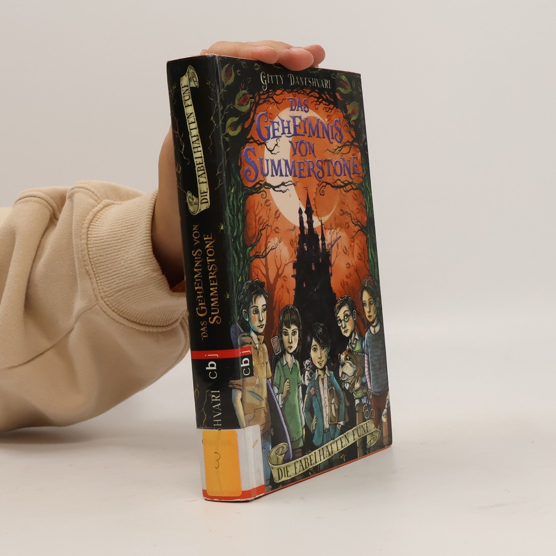 Gitty Daneshvari Das Geheimnis von Summerstone