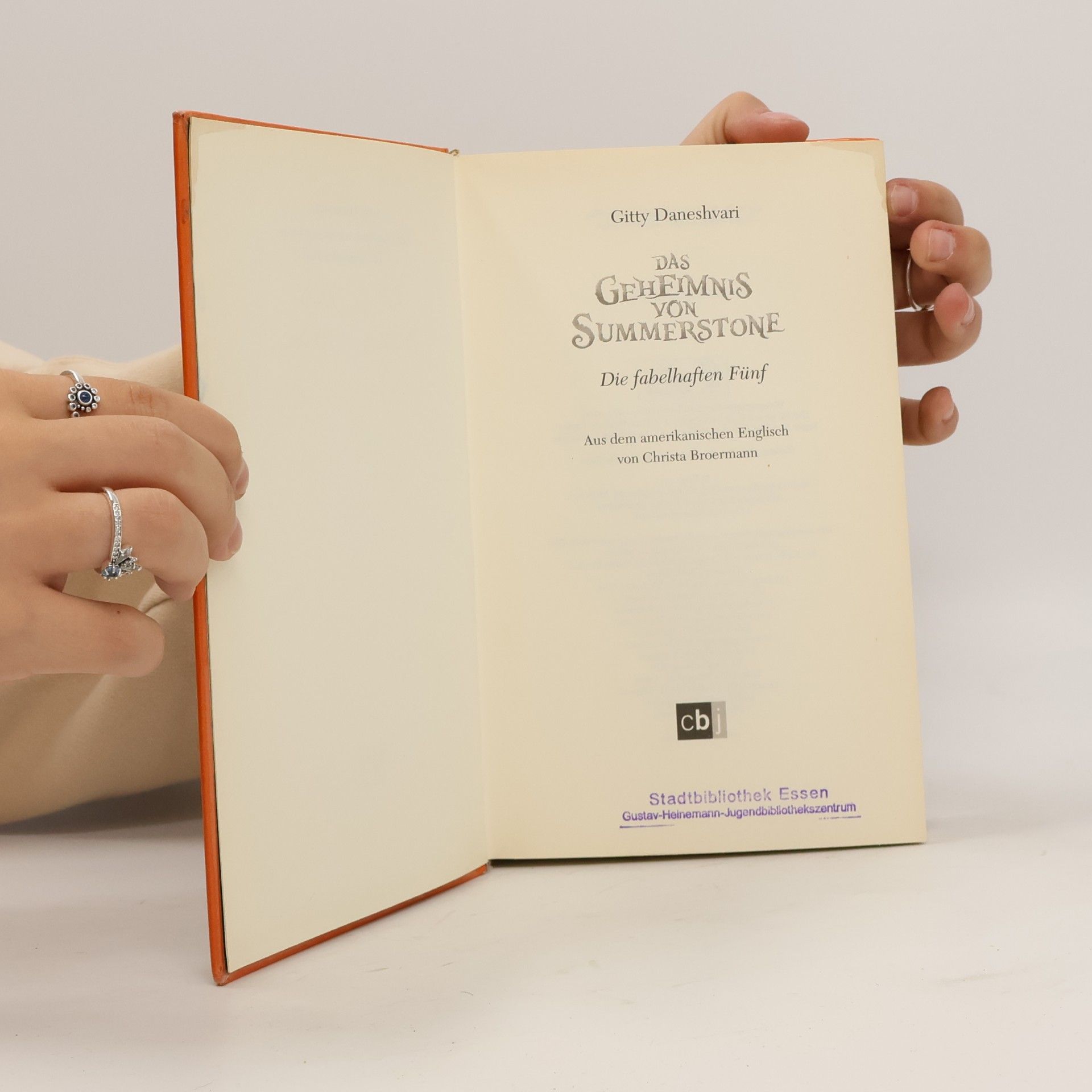 Gitty Daneshvari Das Geheimnis von Summerstone