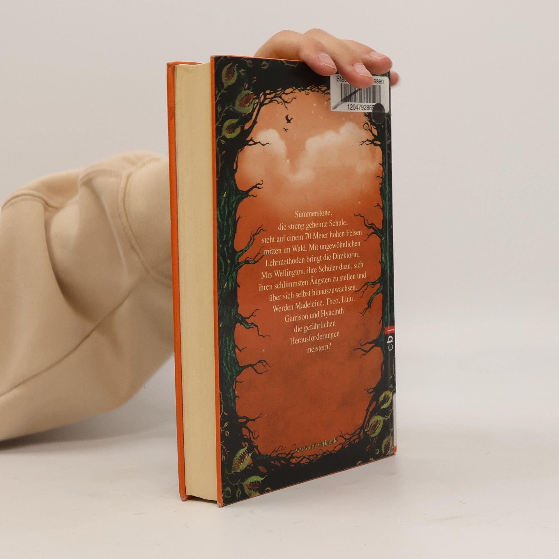 Gitty Daneshvari Das Geheimnis von Summerstone