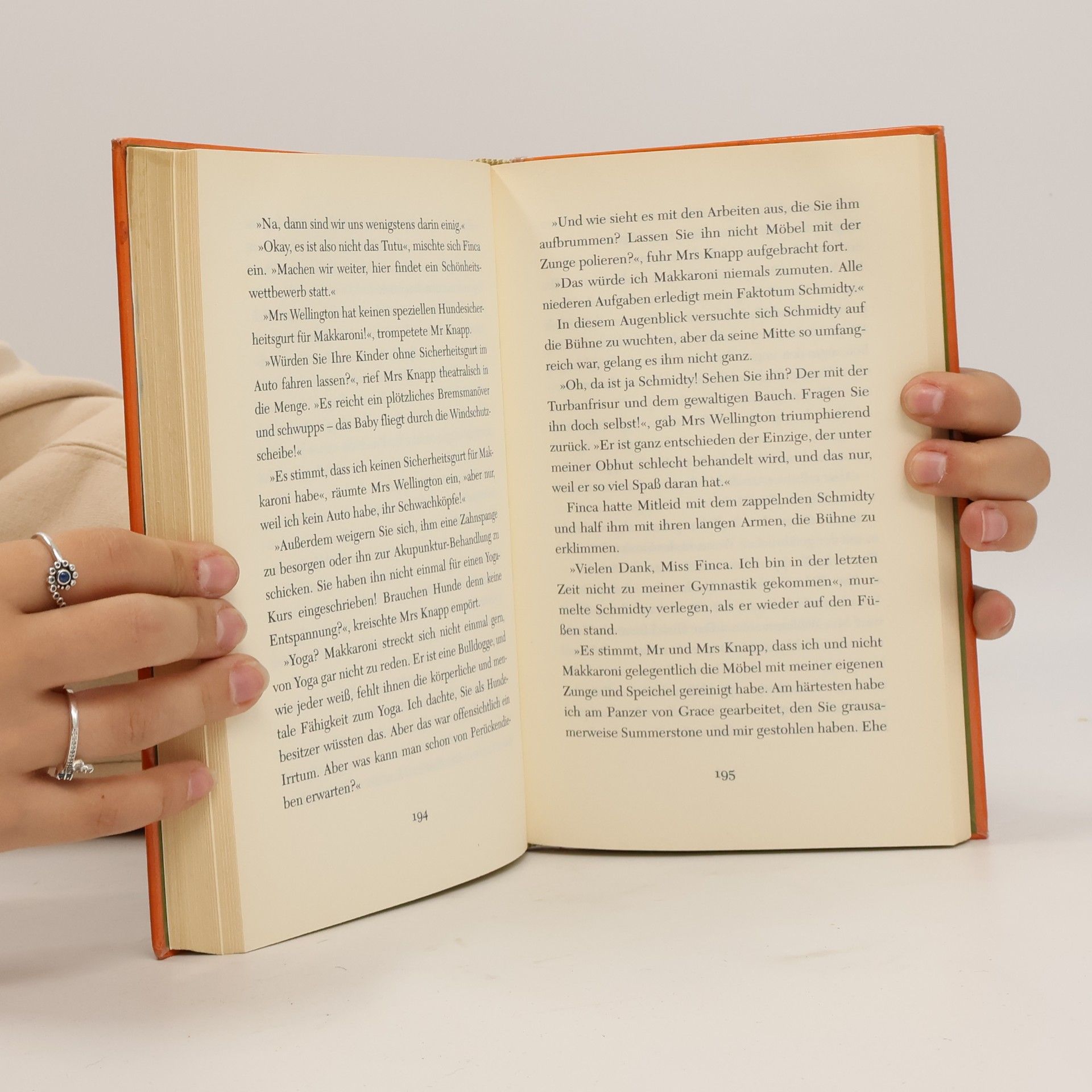 Gitty Daneshvari Das Geheimnis von Summerstone
