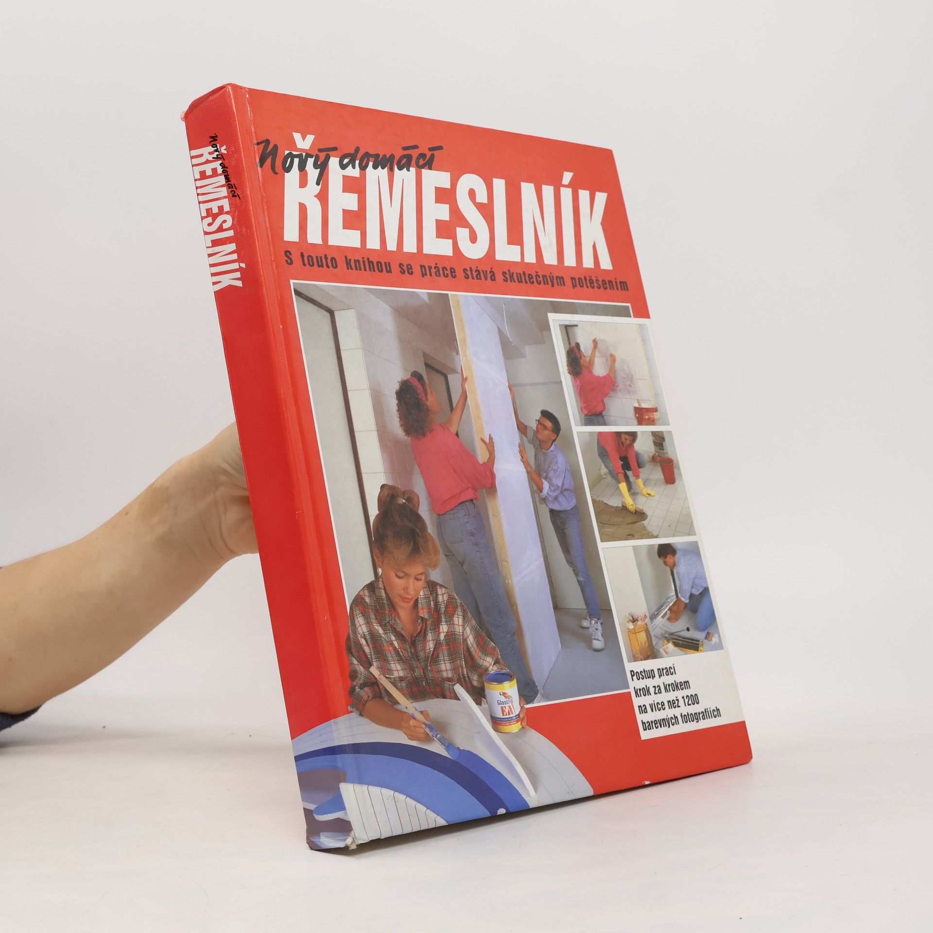 Dieter Rex Nový domácí řemeslník