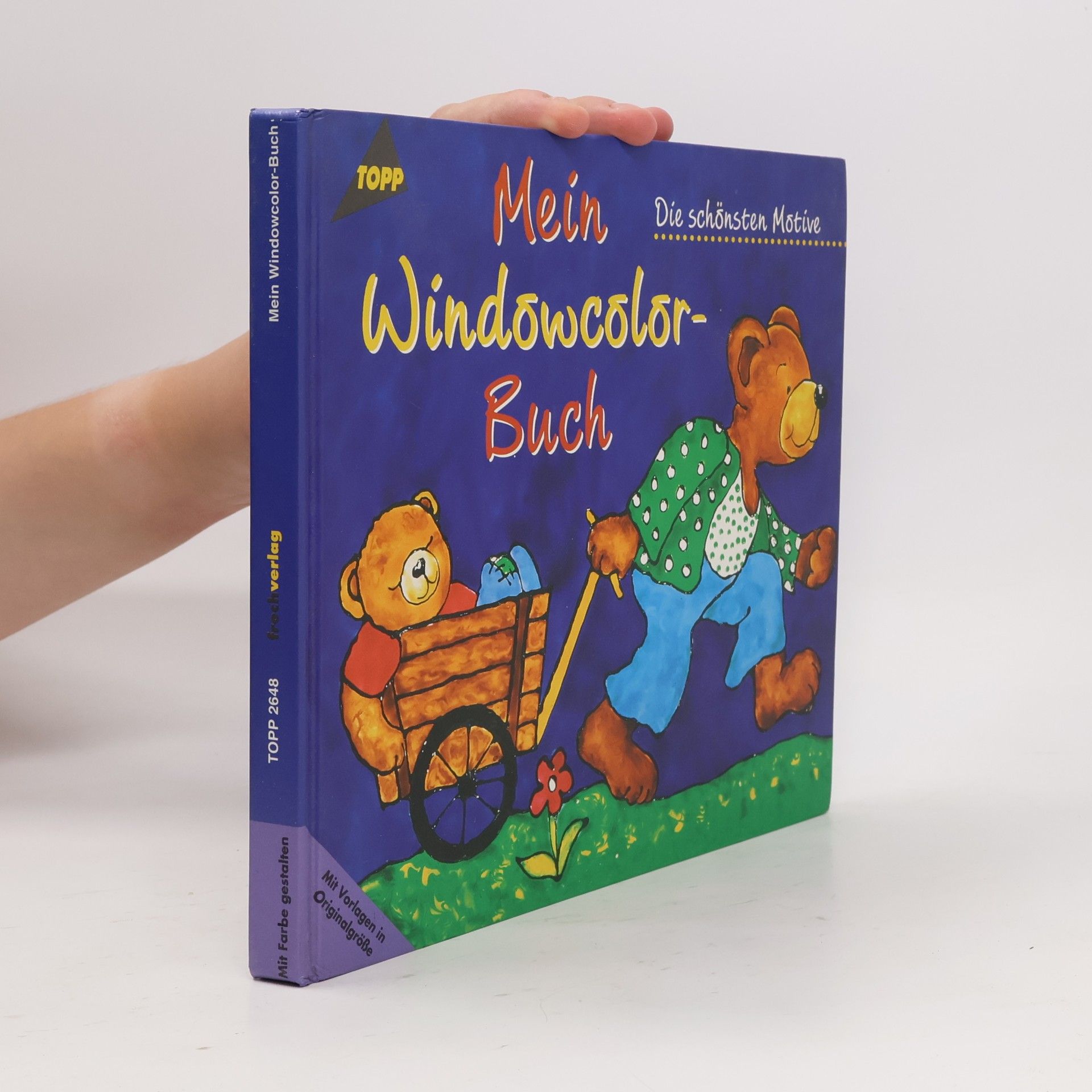 Kolektiv autorů Mein Windowcolor-Buch