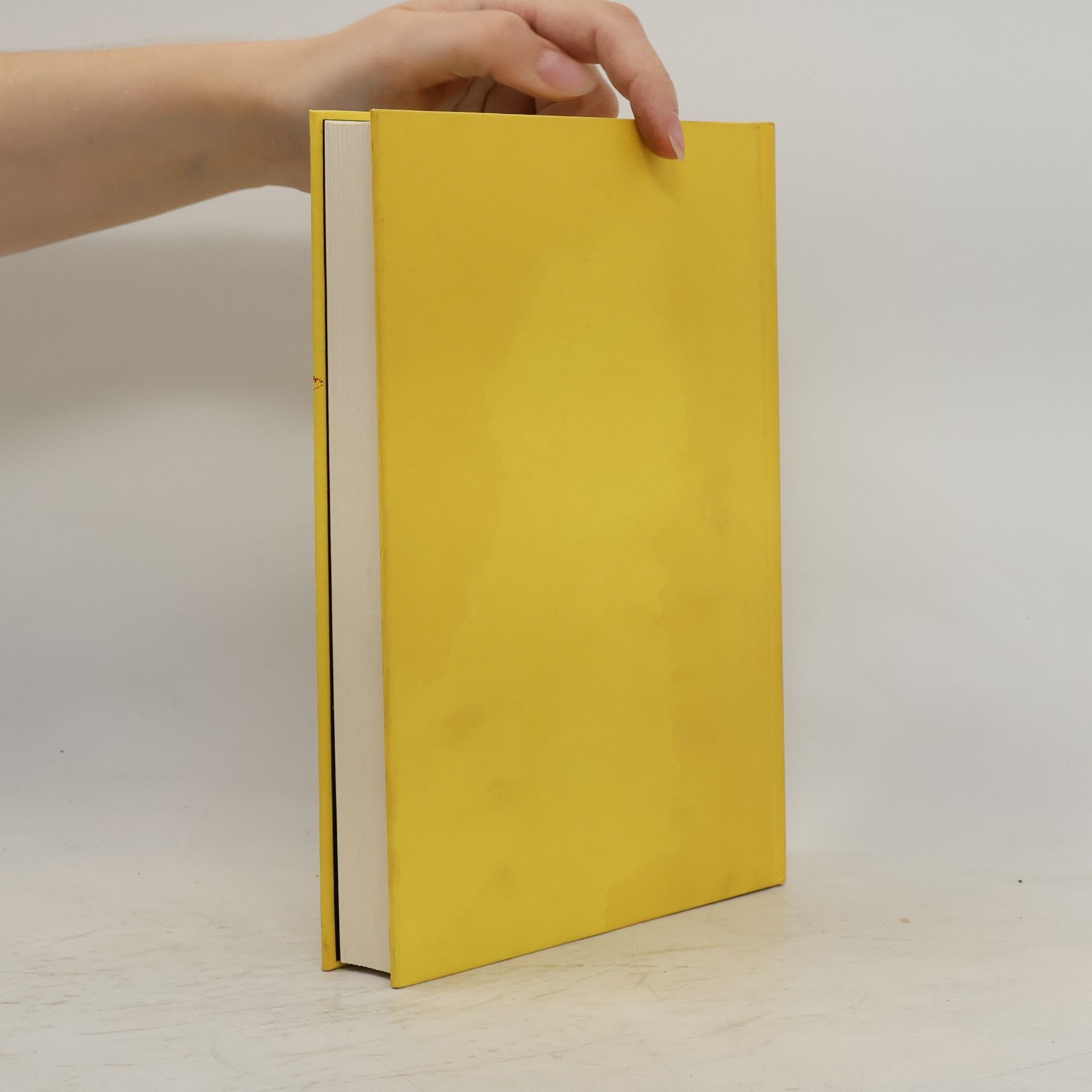 Gundula Wolter Die Verpackung des männlichen Geschlechts