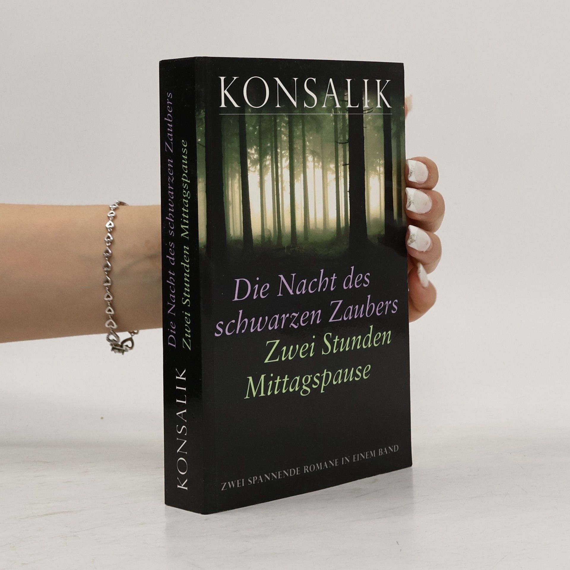 Kolektiv autorů Die Nacht des schwarzen Zaubers. Zwei Stunden Mittagspause