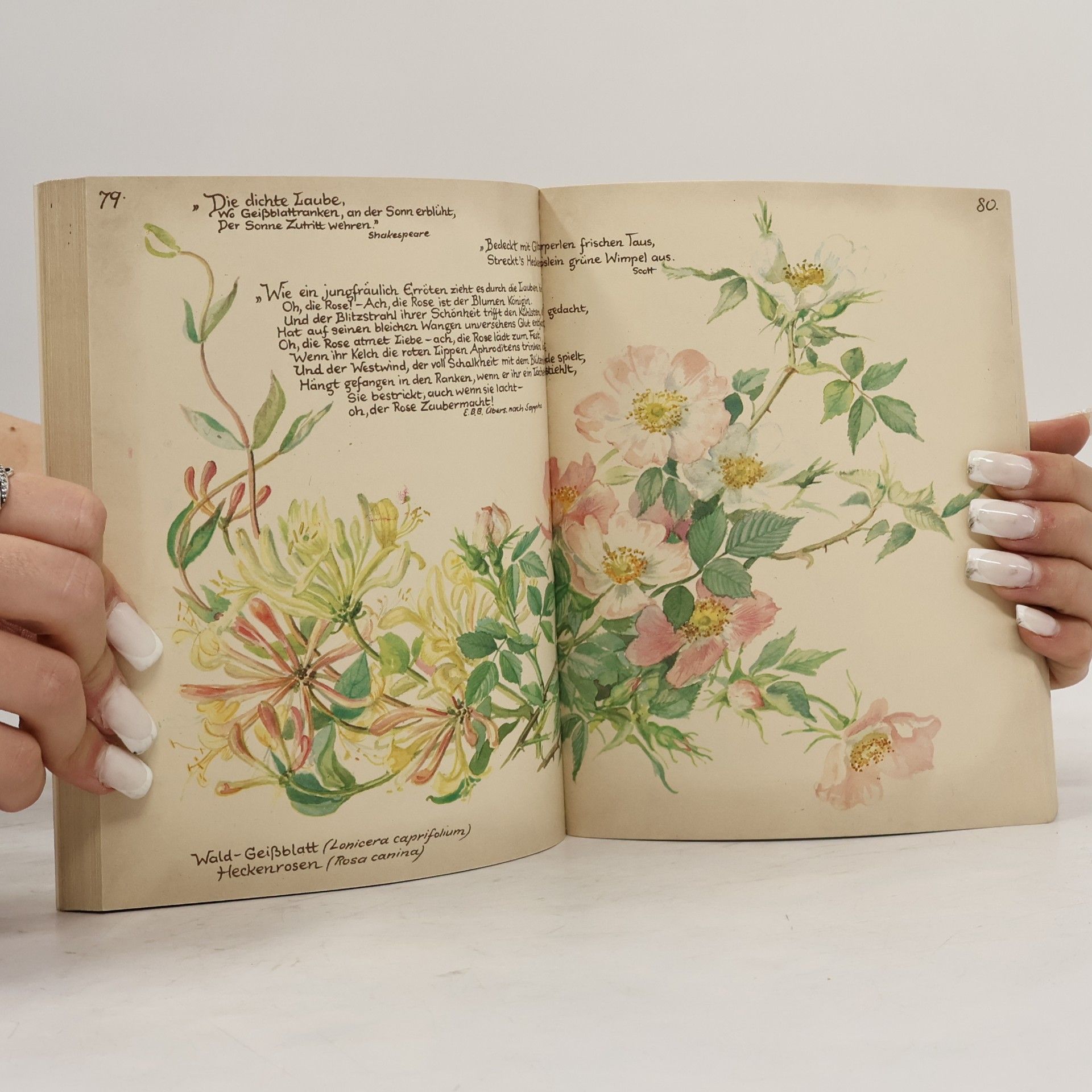 Edith Holden Vom Glück, mit der Natur zu leben