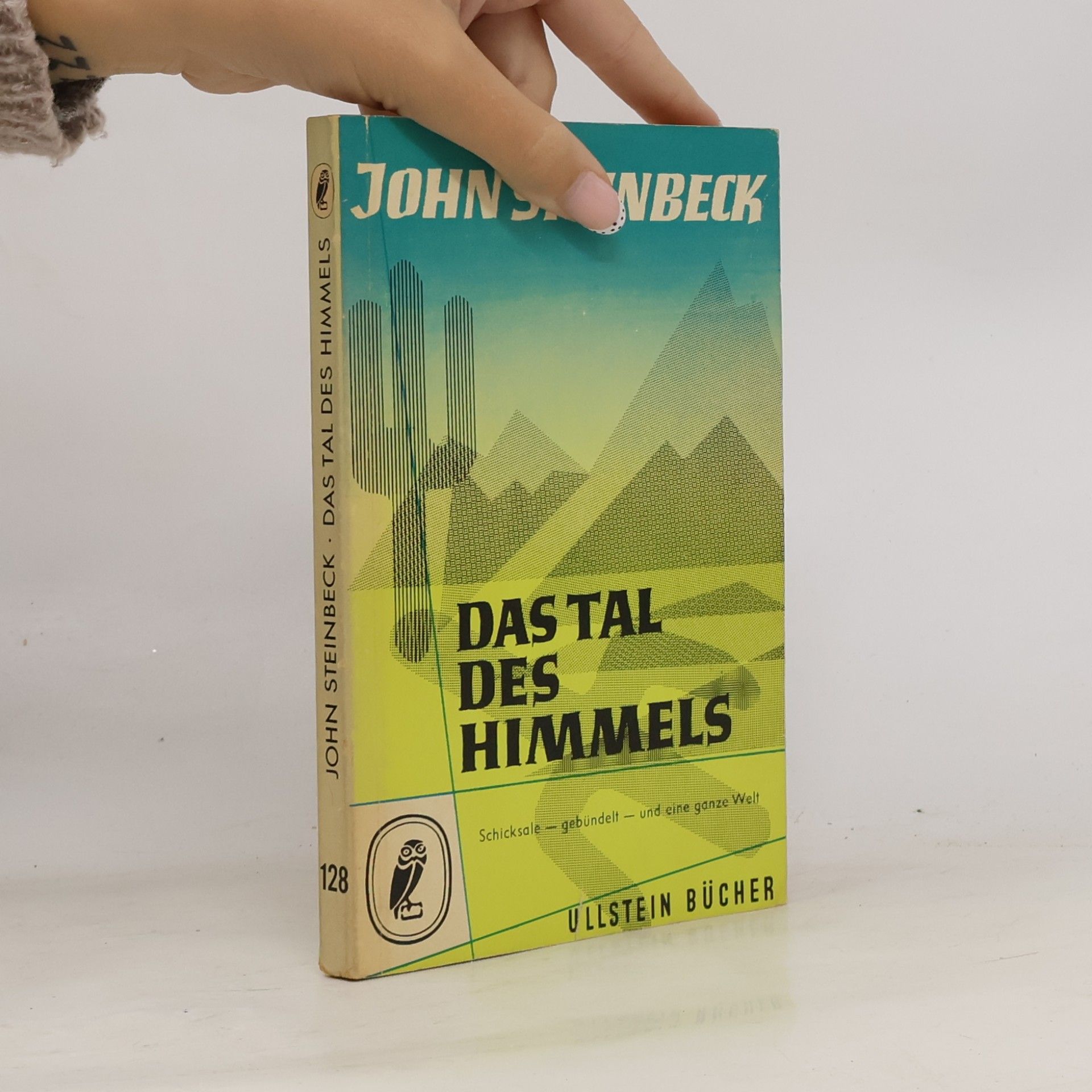 Das Tal des Himmels