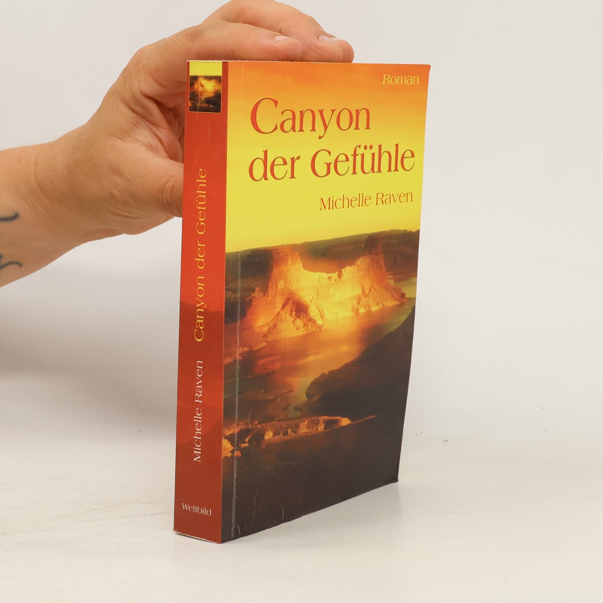 Michelle Raven Canyon der Gefühle