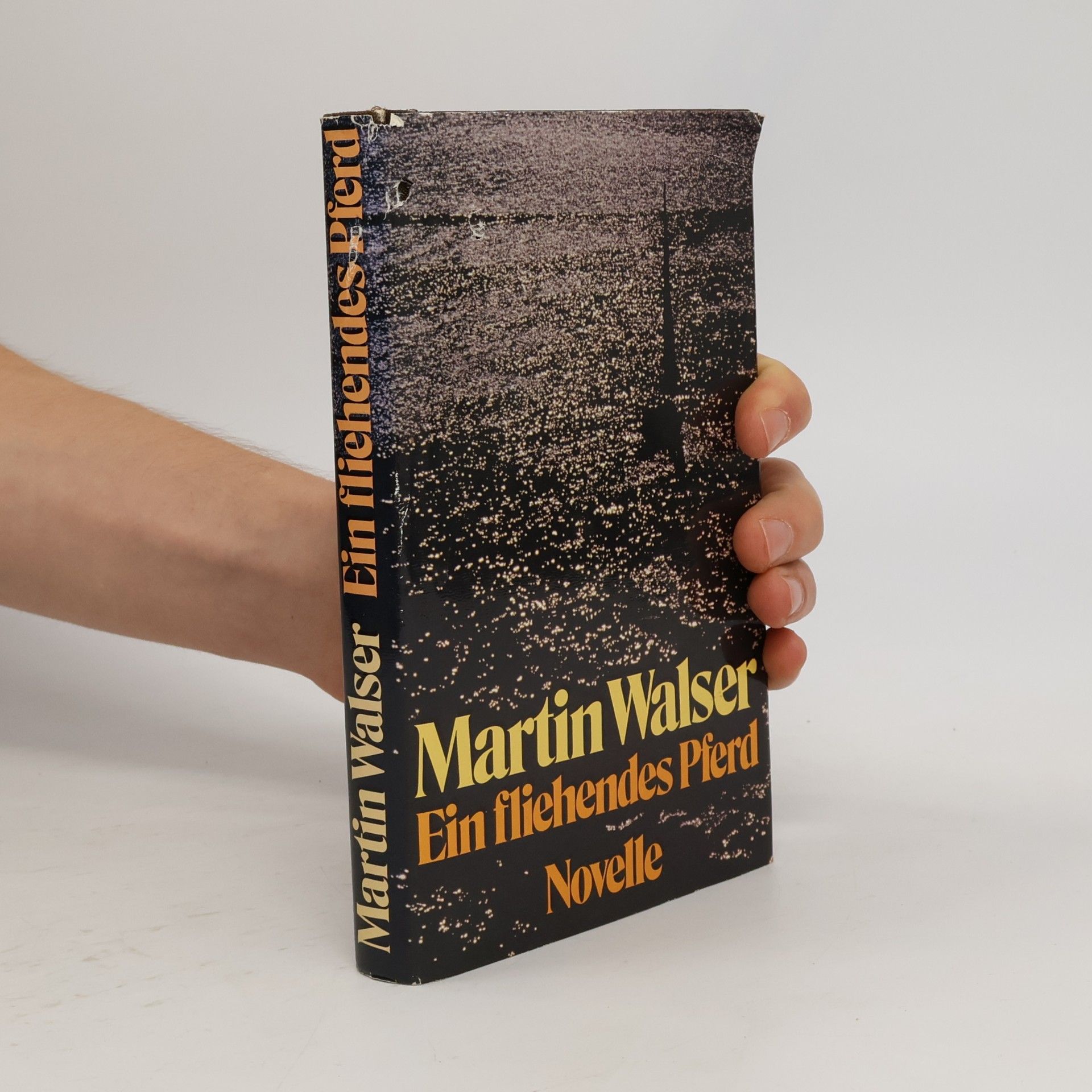 Martin Johannes Walser Ein fliehendes Pferd