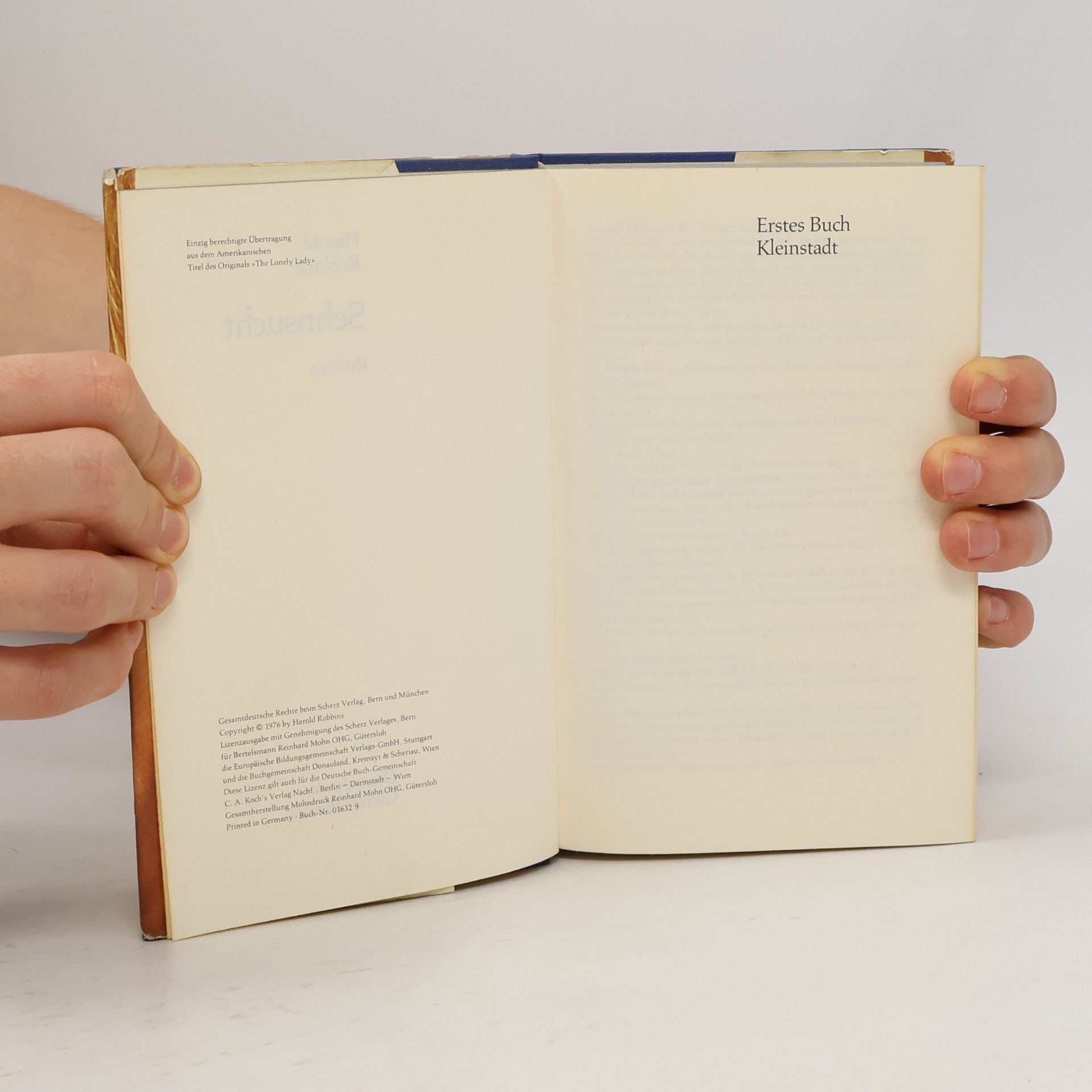 Harold Robbins Sehnsucht