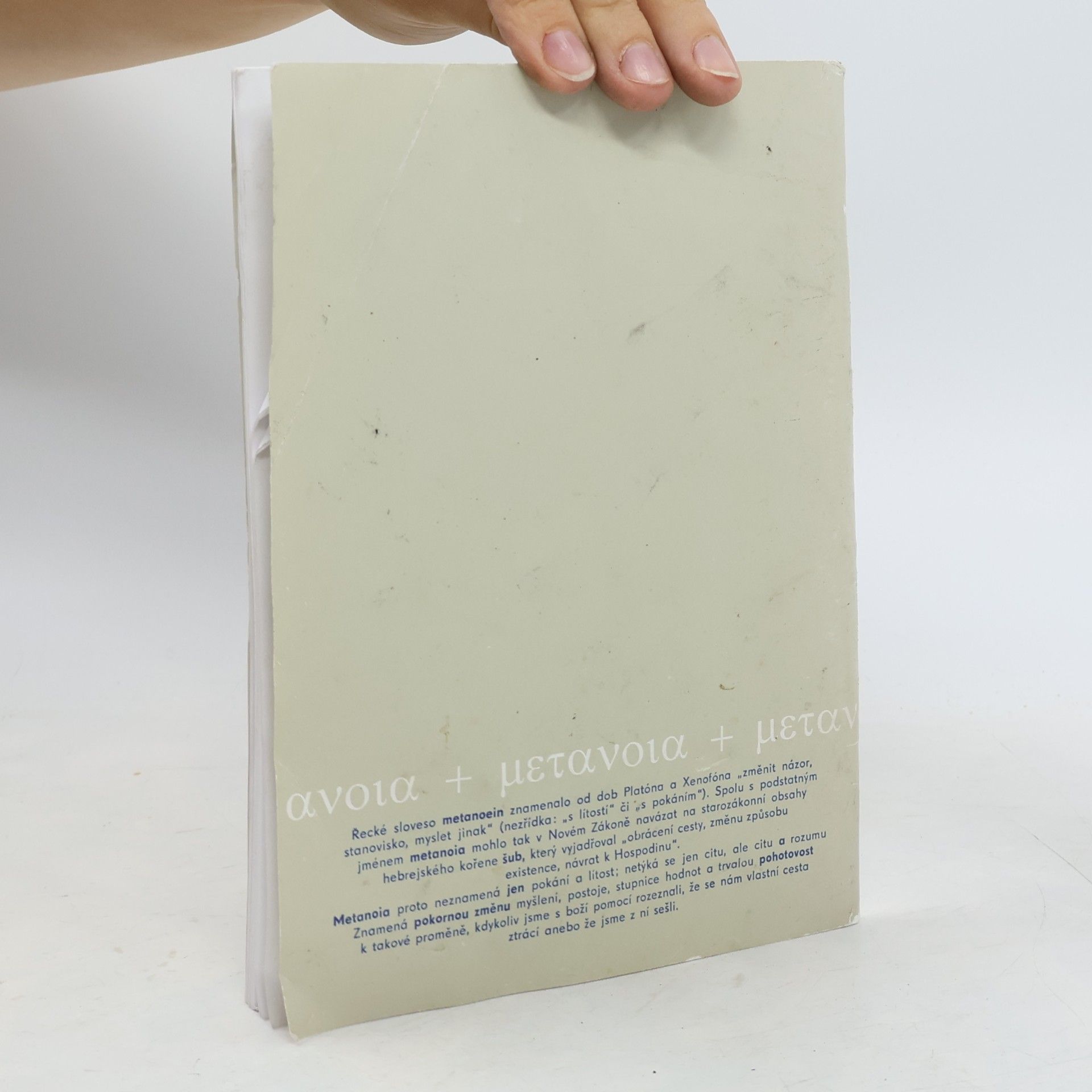 kolektiv Česká metanoia 22/1999
