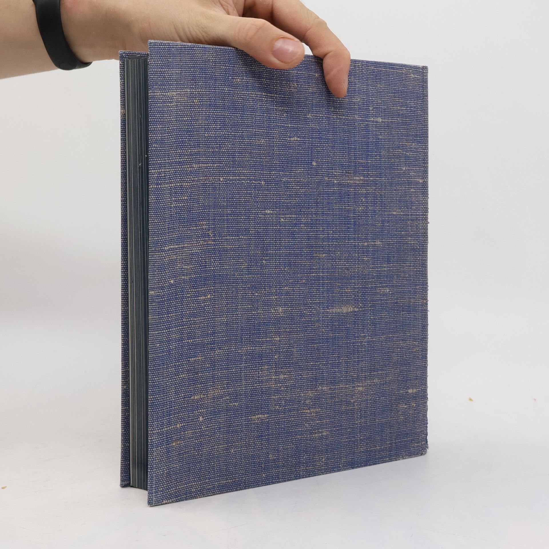Georg Brütting Das Buch der deutschen Fluggeschichte
