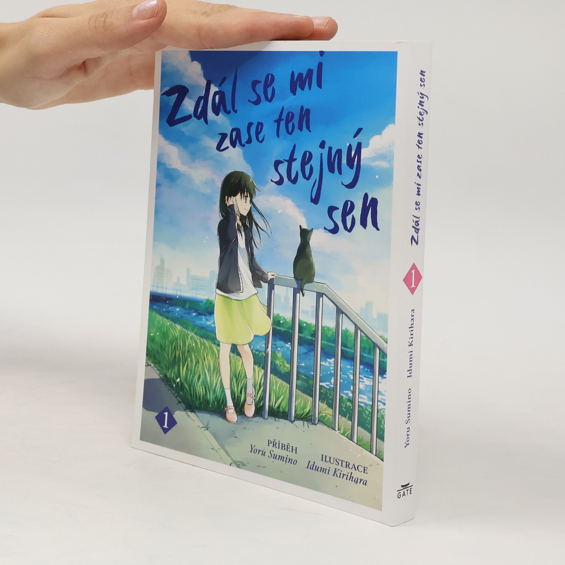 Joru Sumino Zdál se mi zase ten stejný sen 1