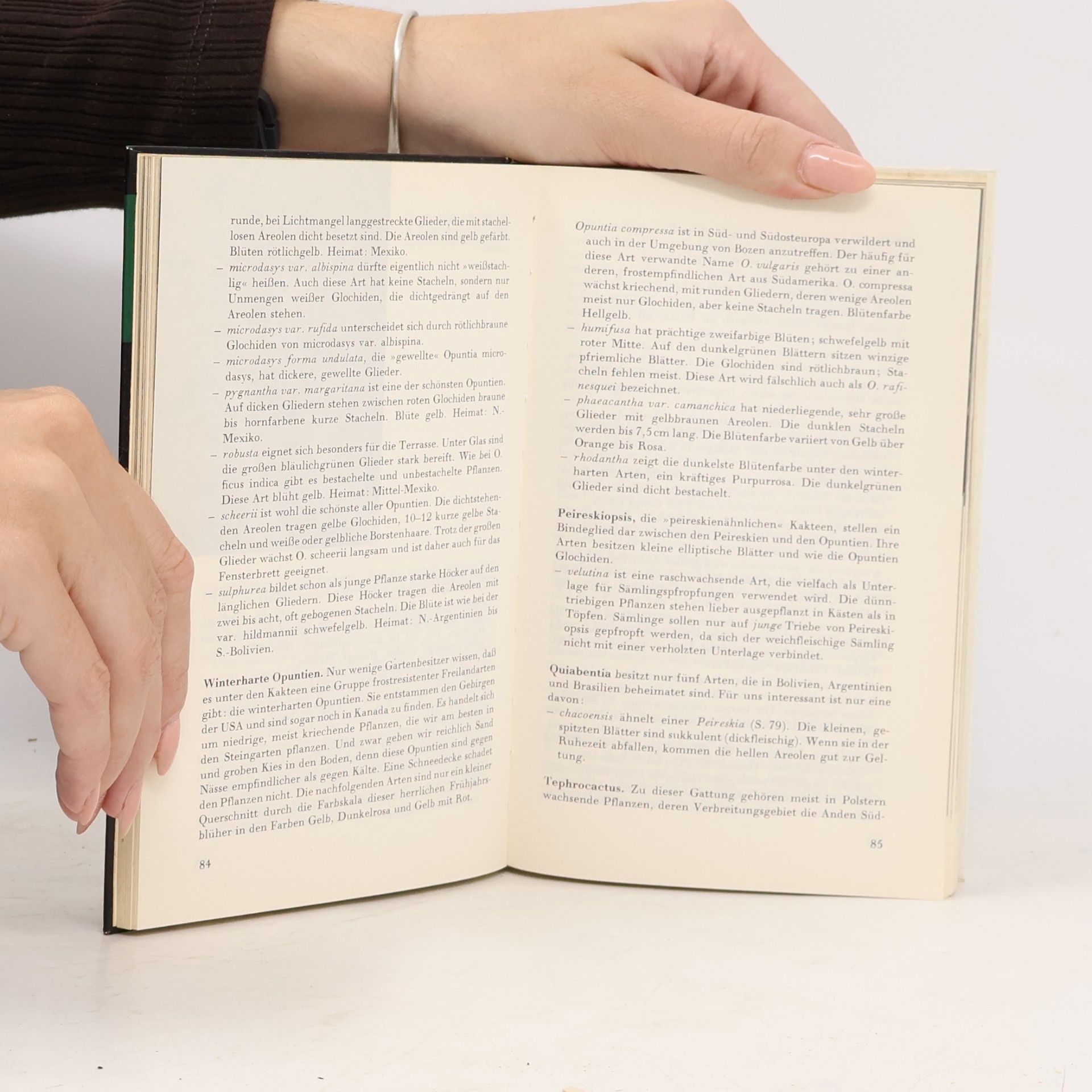 Werner Hoffmann Das kleine Kakteenbuch