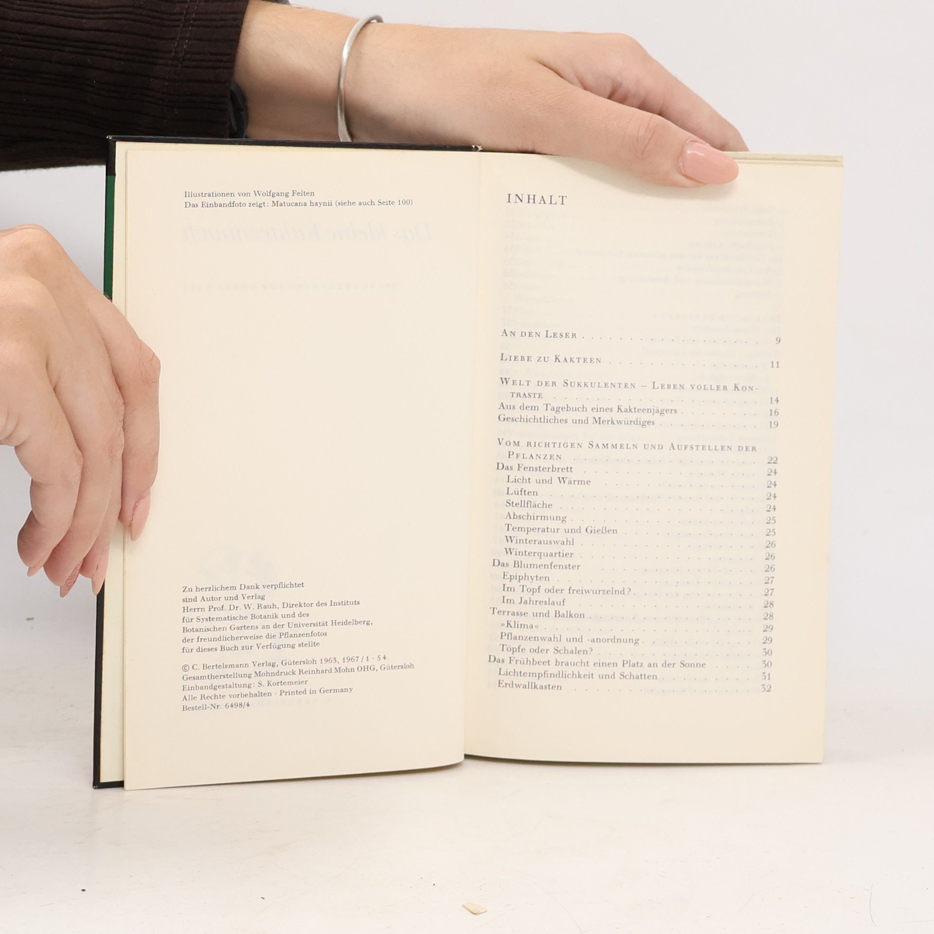 Werner Hoffmann Das kleine Kakteenbuch