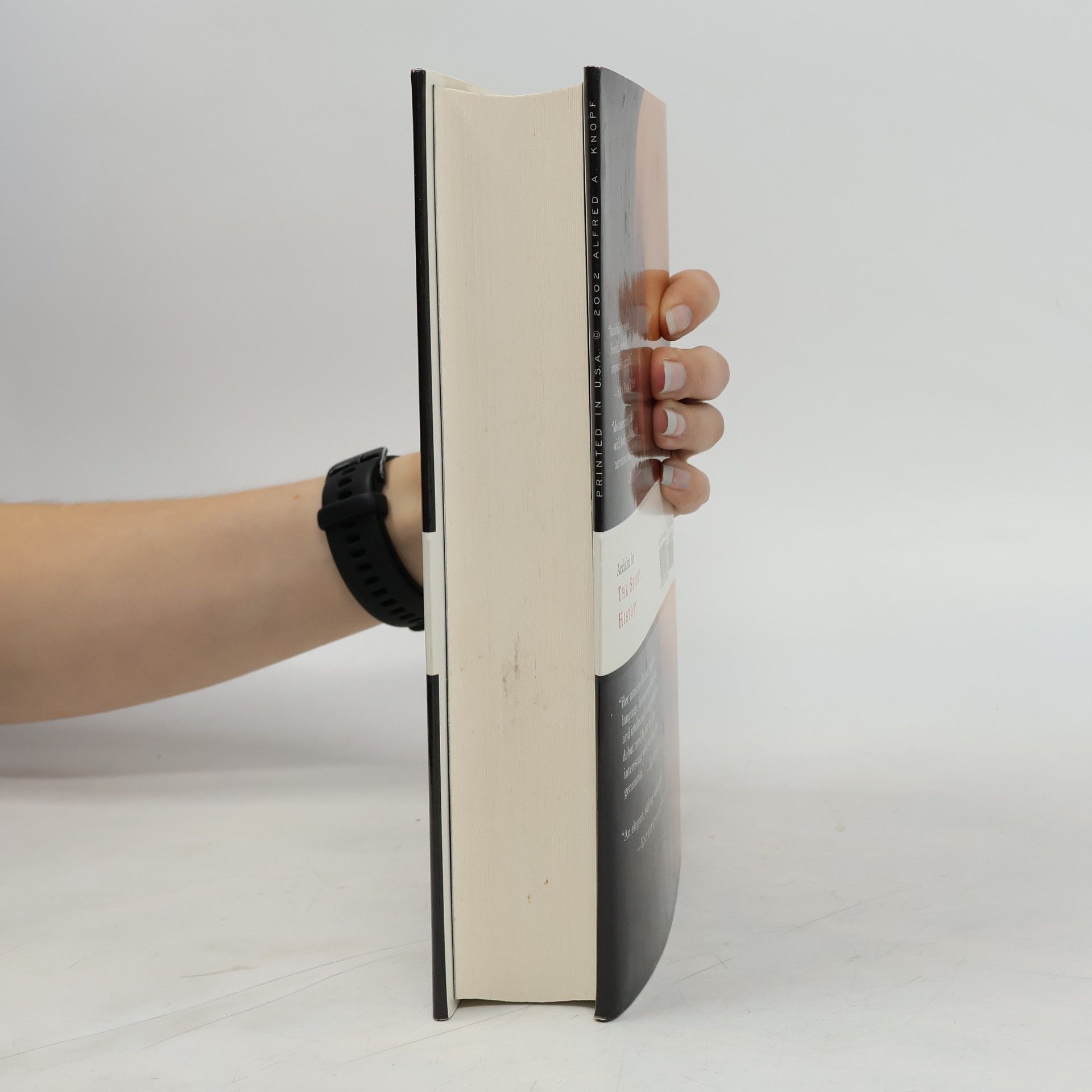 Donna Tartt The Little Friend