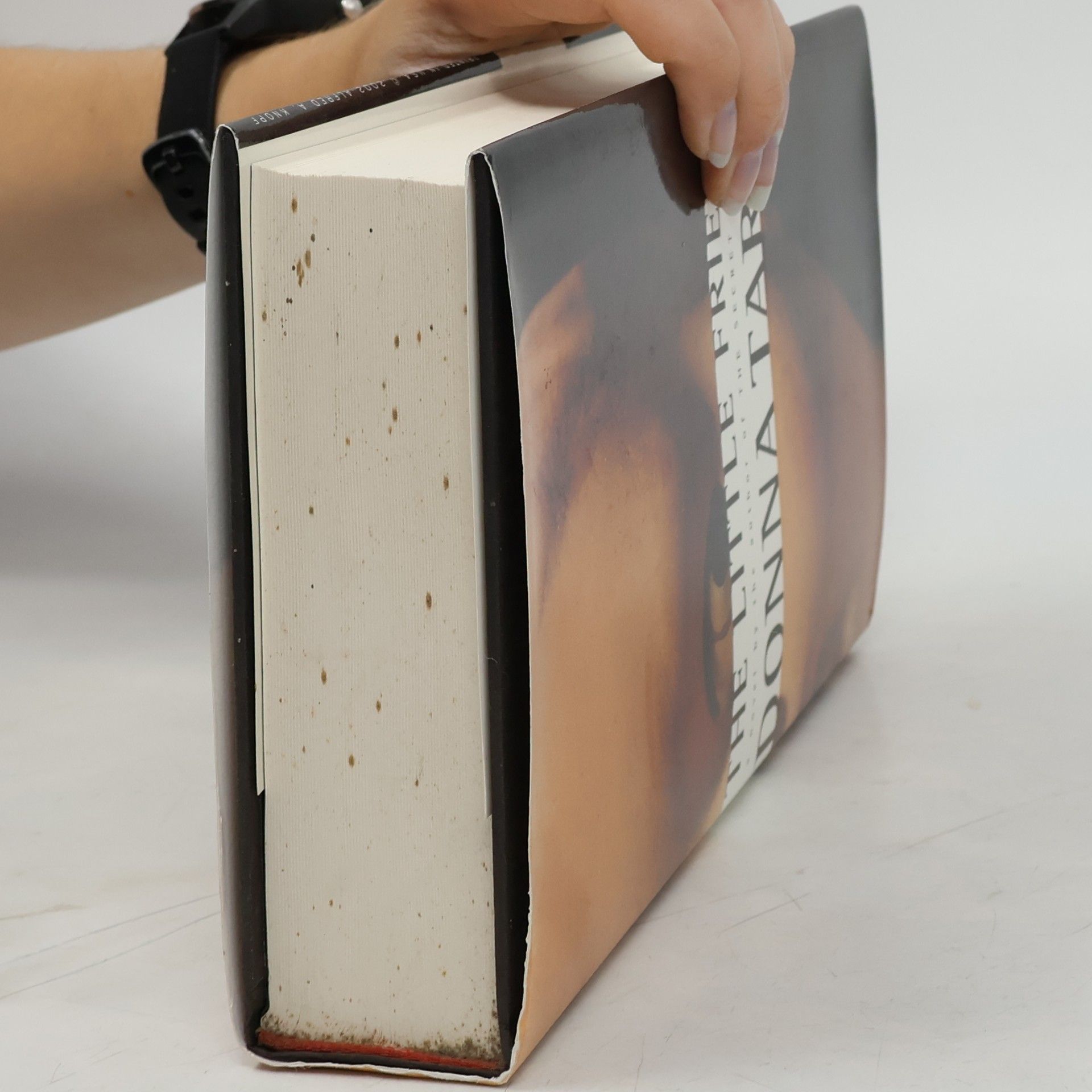 Donna Tartt The Little Friend