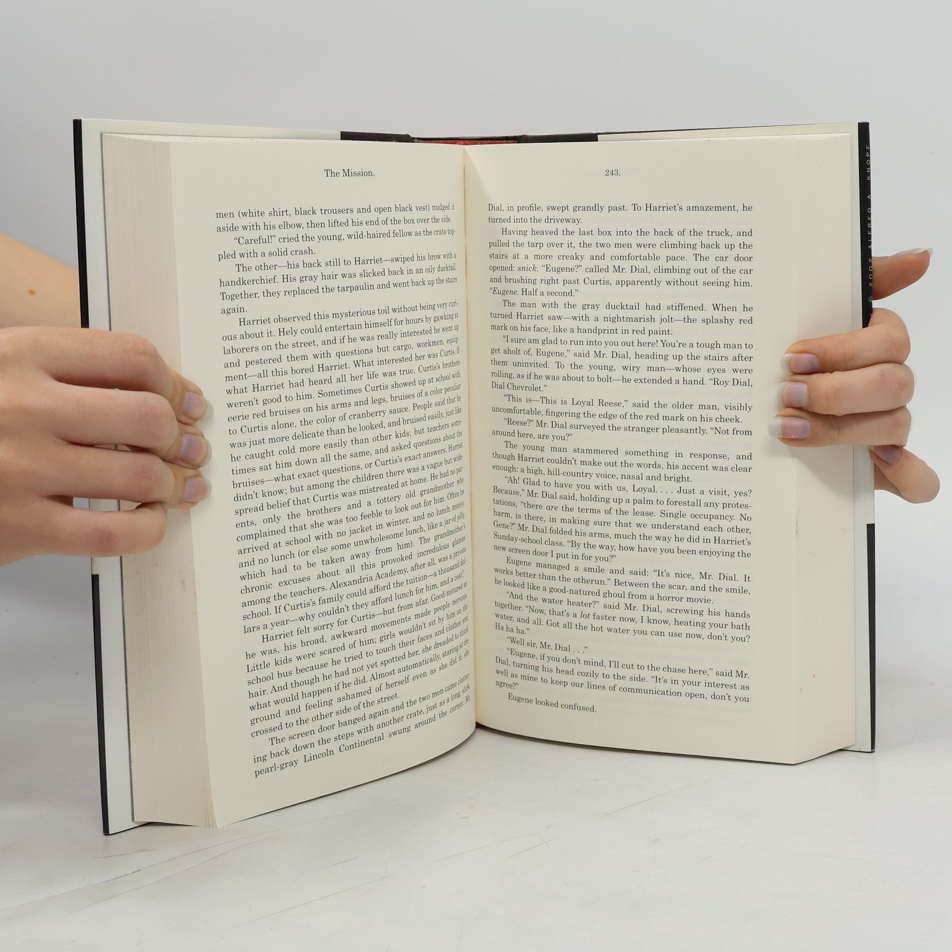Donna Tartt The Little Friend