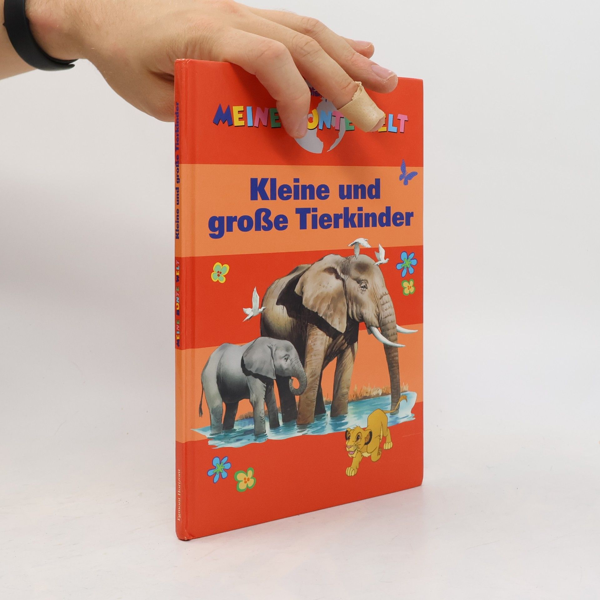 Kolektiv autorů Kleine und große Tierkinder