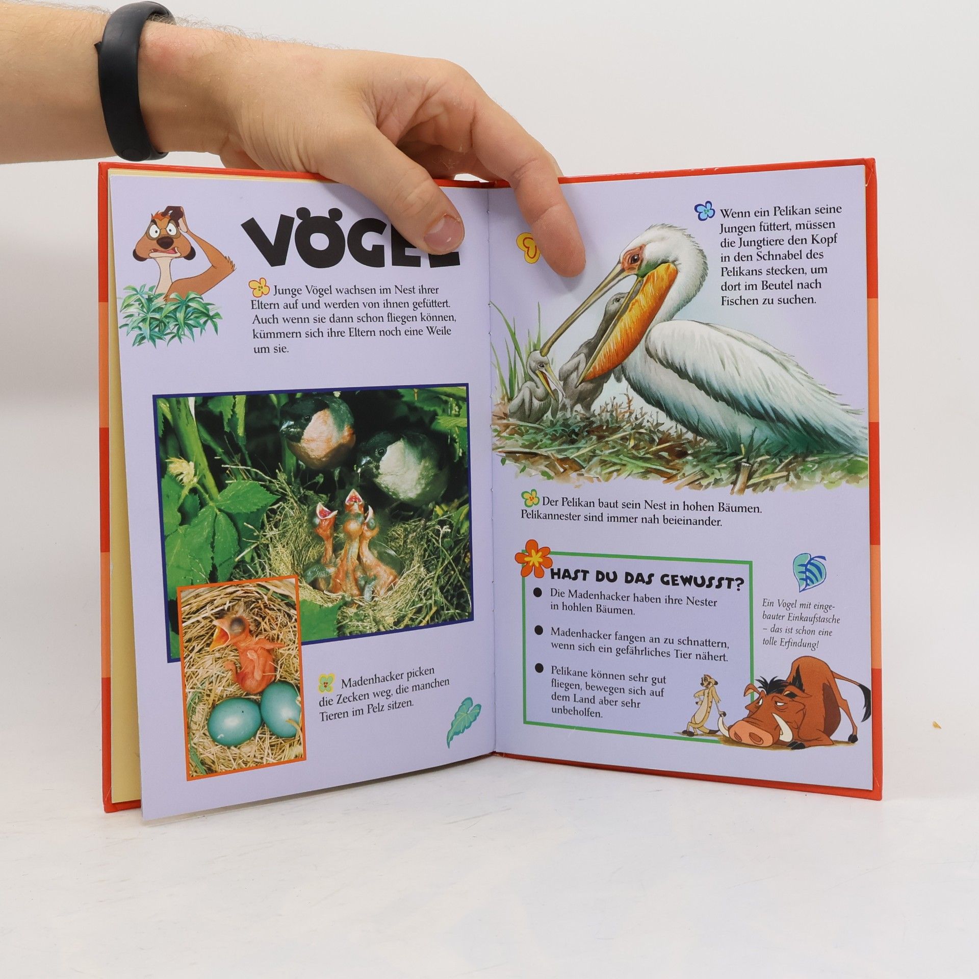 kolektiv Kleine und große Tierkinder