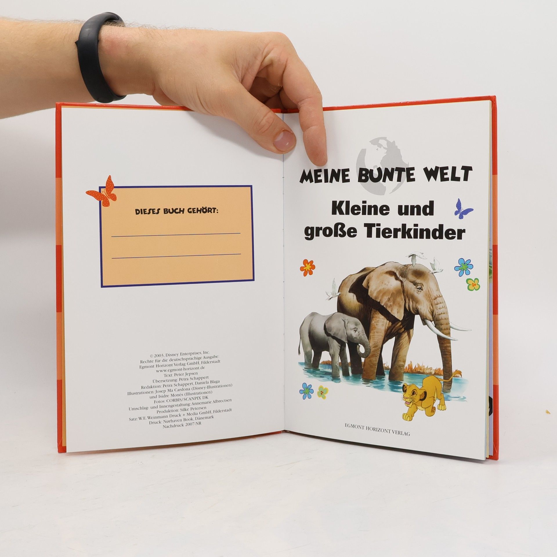 kolektiv Kleine und große Tierkinder