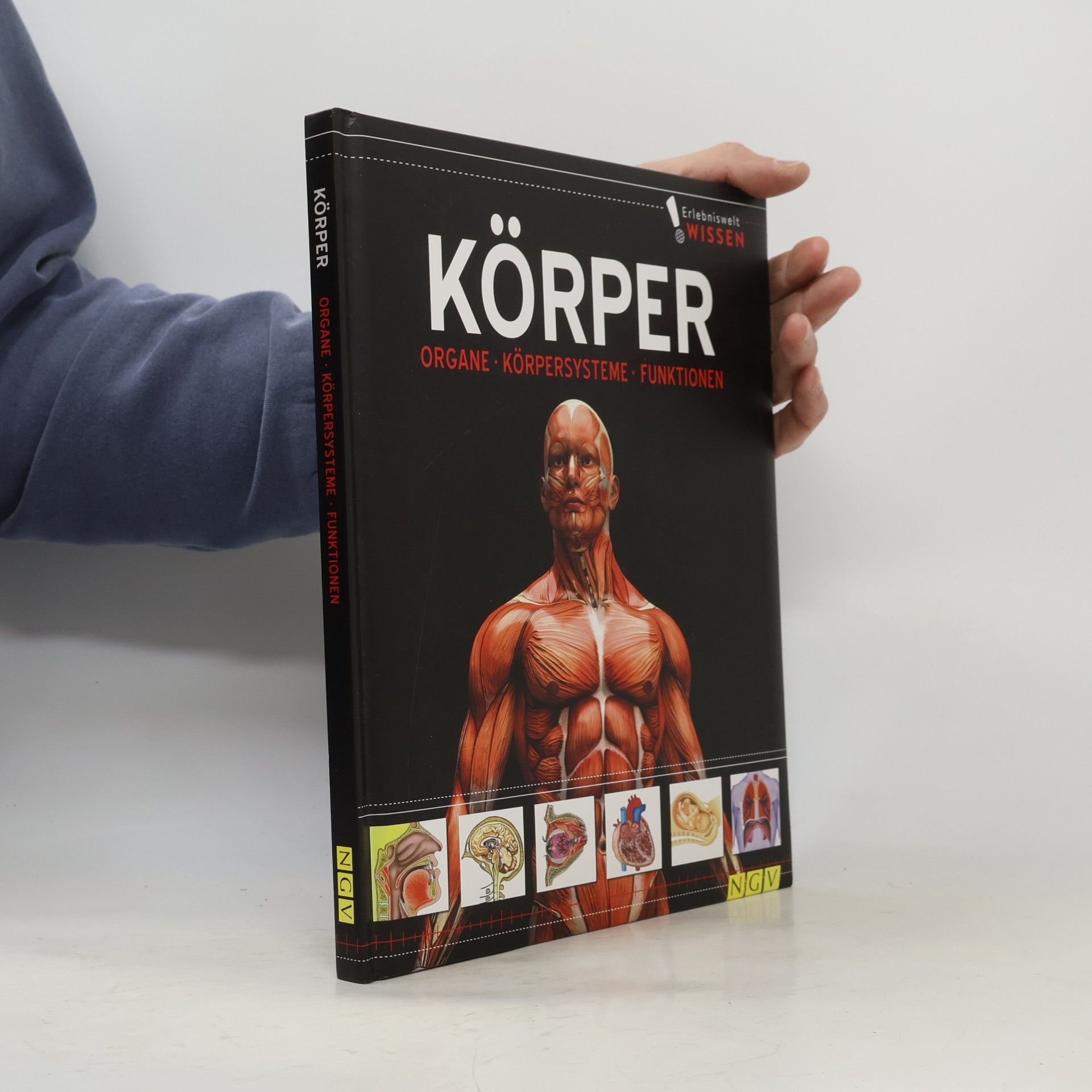 Kolektív autorov Körper
