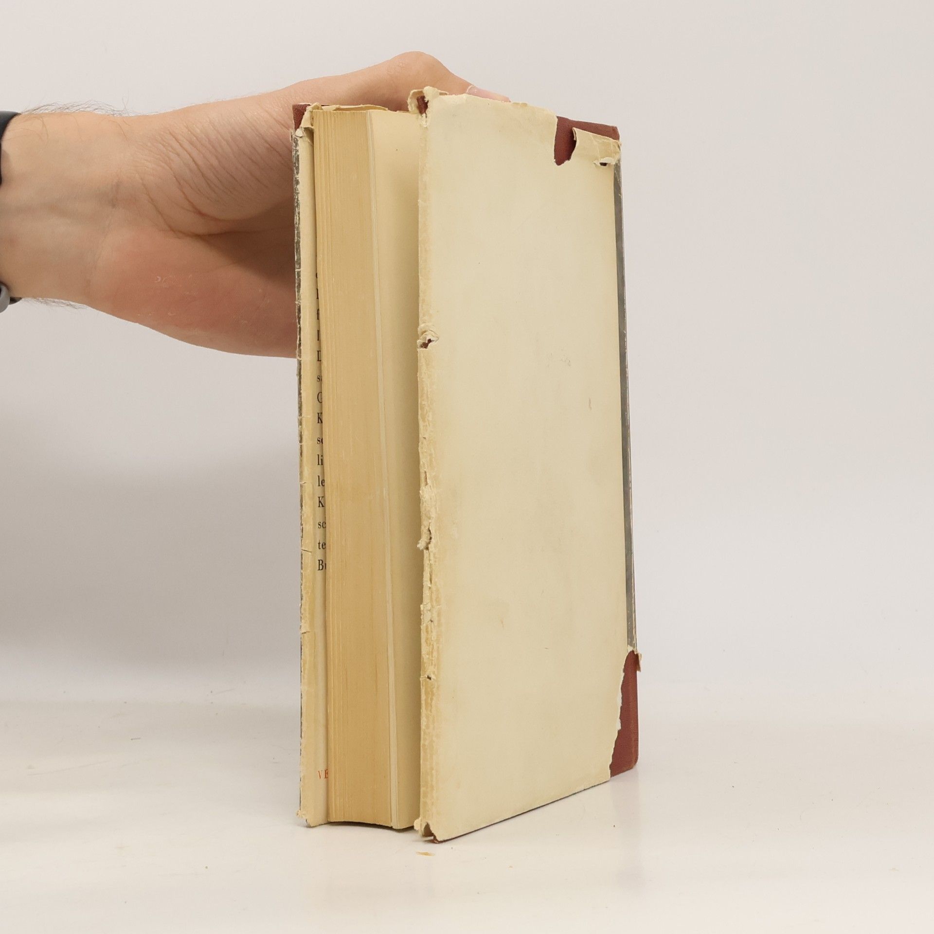 Herbert Alexander Stützer Die Kunst der römischen Katakomben