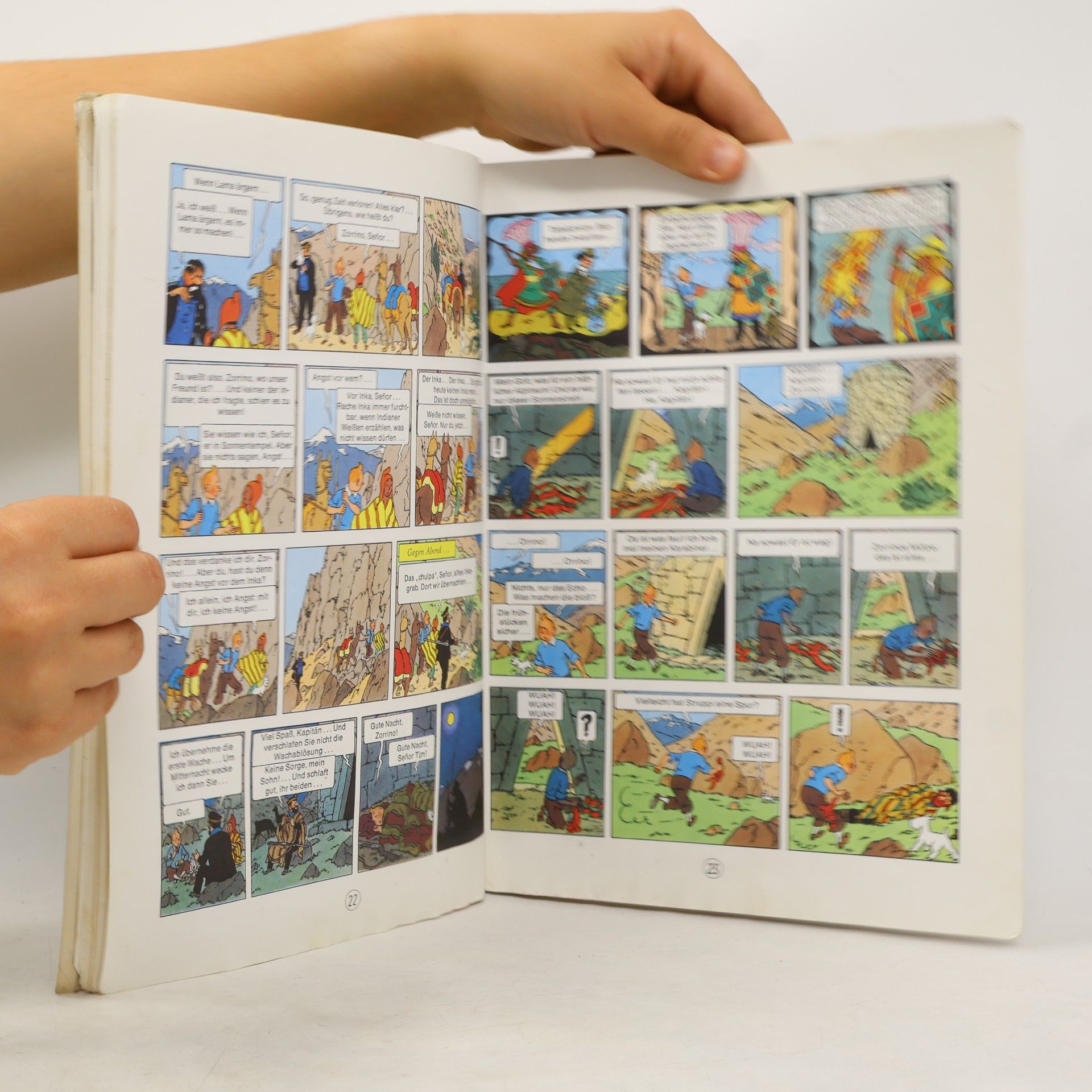 Hergé Tim und Struppi. Der Sonnentempel