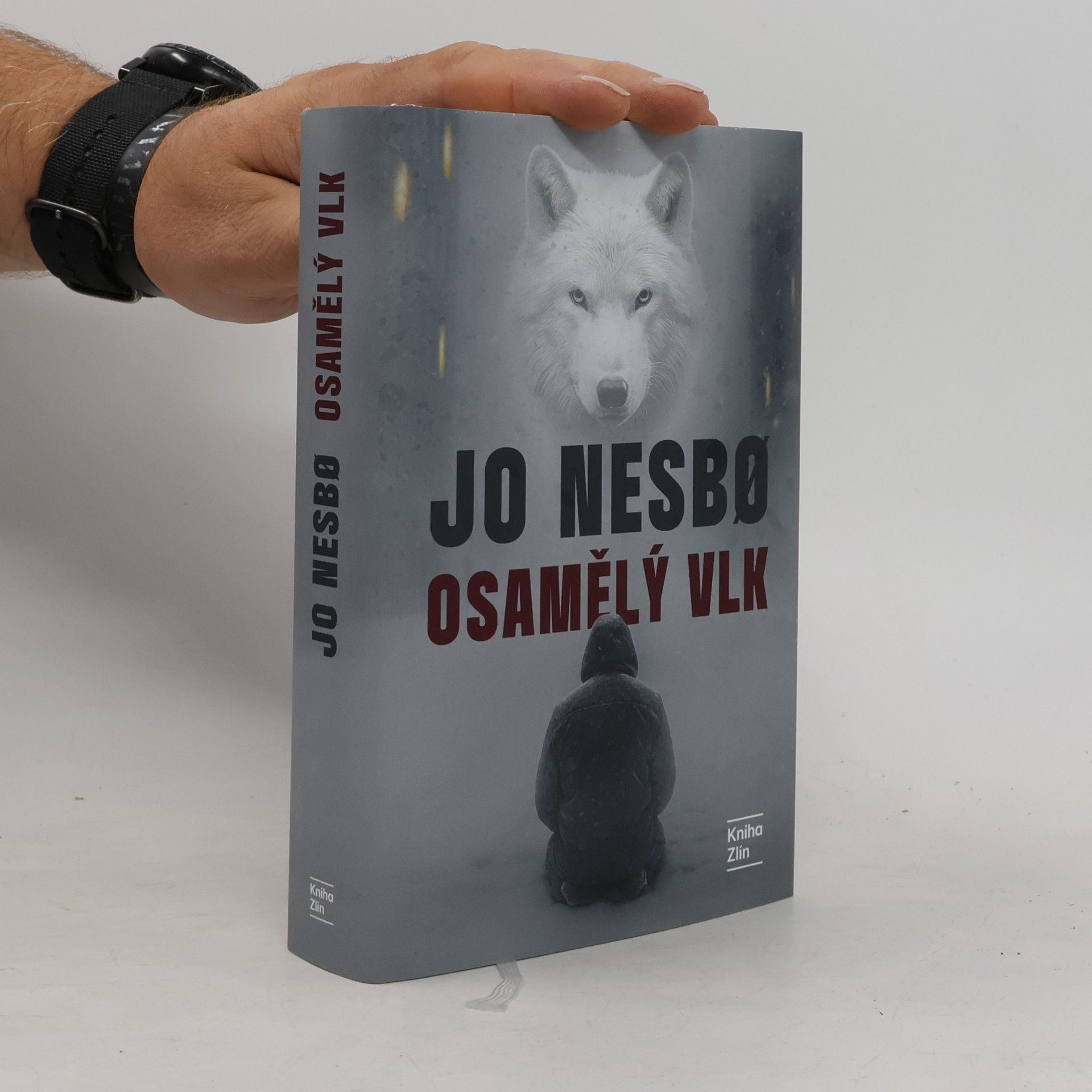 Kateřina Krištůfková Osamělý vlk