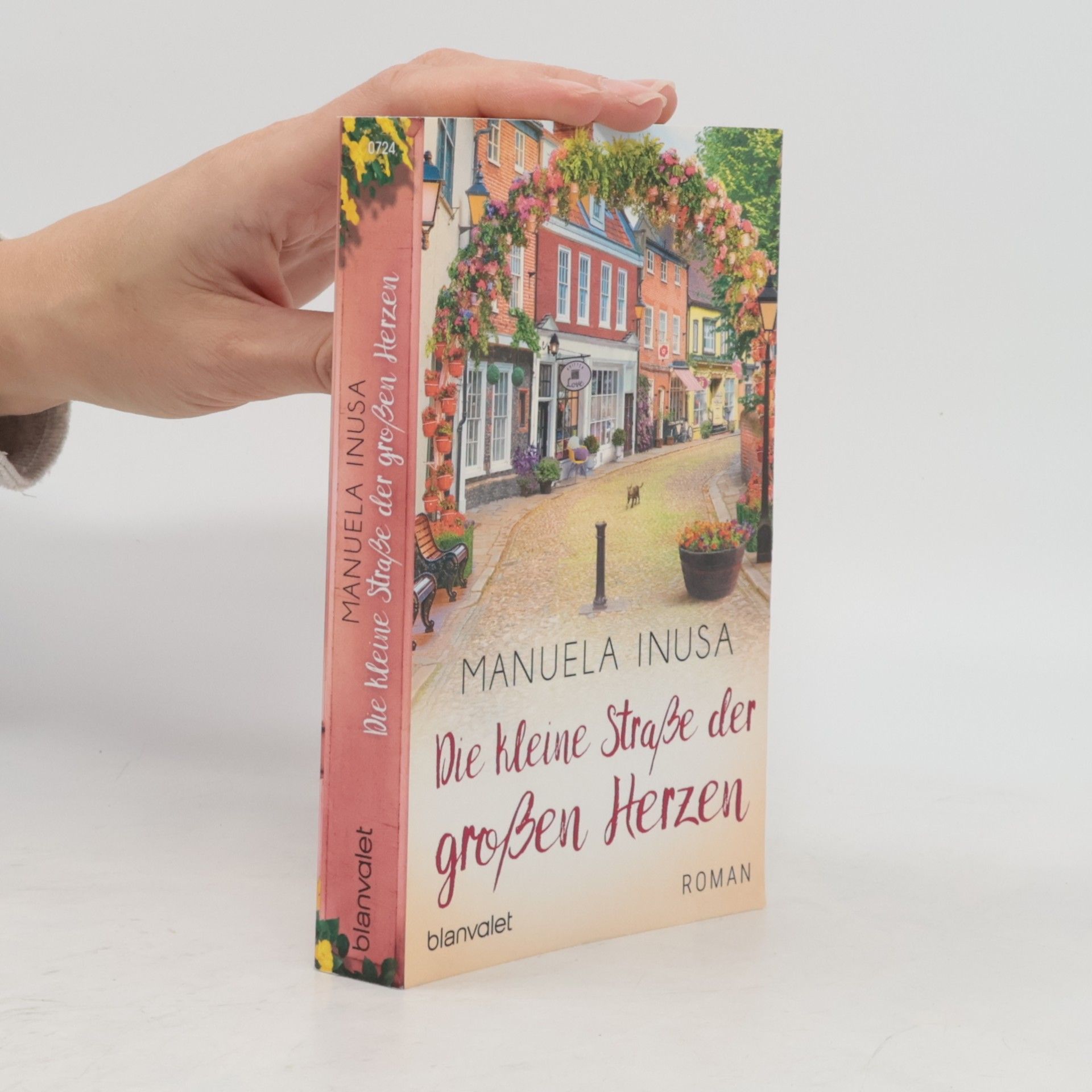 Manuela Inusa Die kleine Straße der großen Herzen