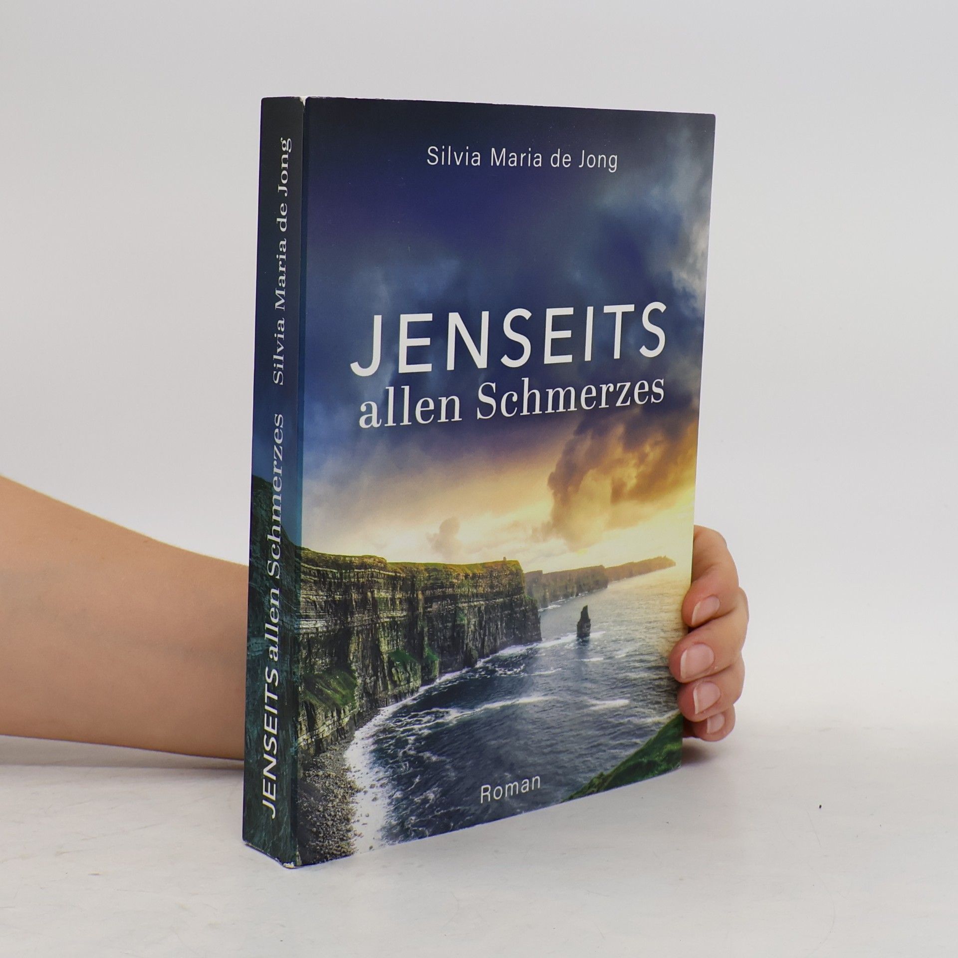 Silvia Maria de Jong Jenseits allen Schmerzes