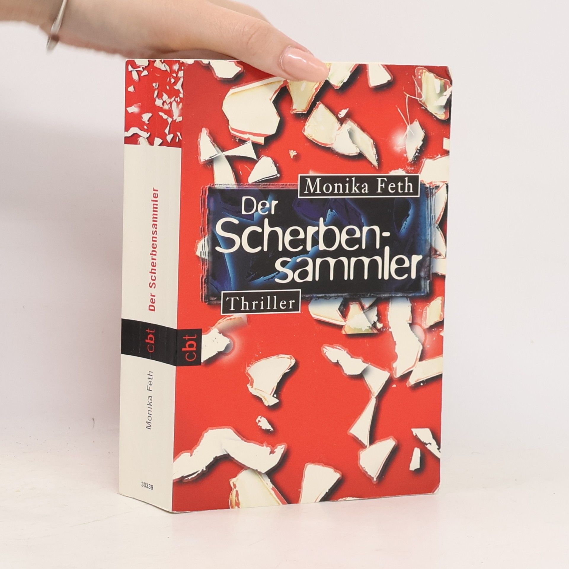 Monika Feth Der Scherbensammler