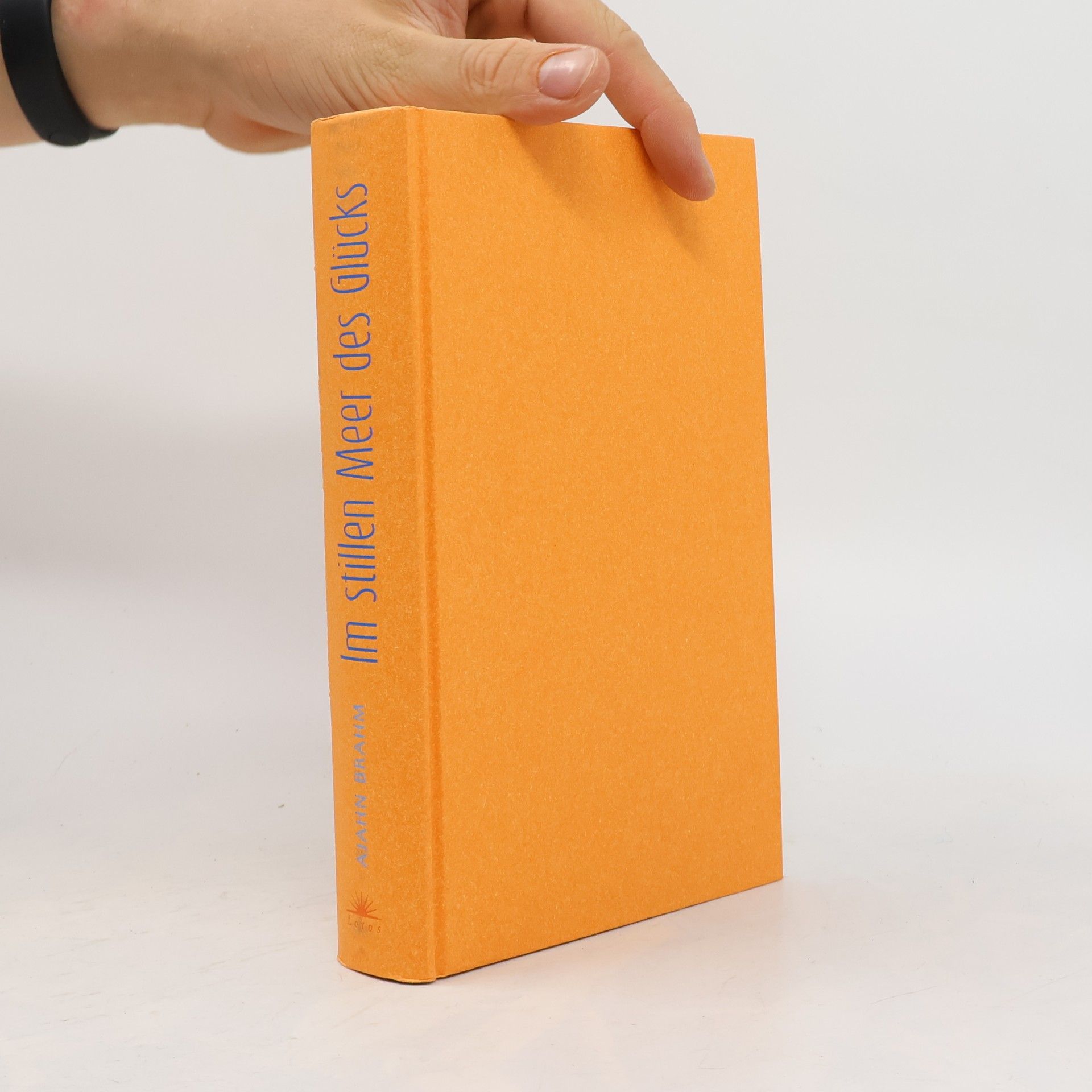 Brahmavamsó Im stillen Meer des Glücks. Handbuch der buddhistischen Meditation